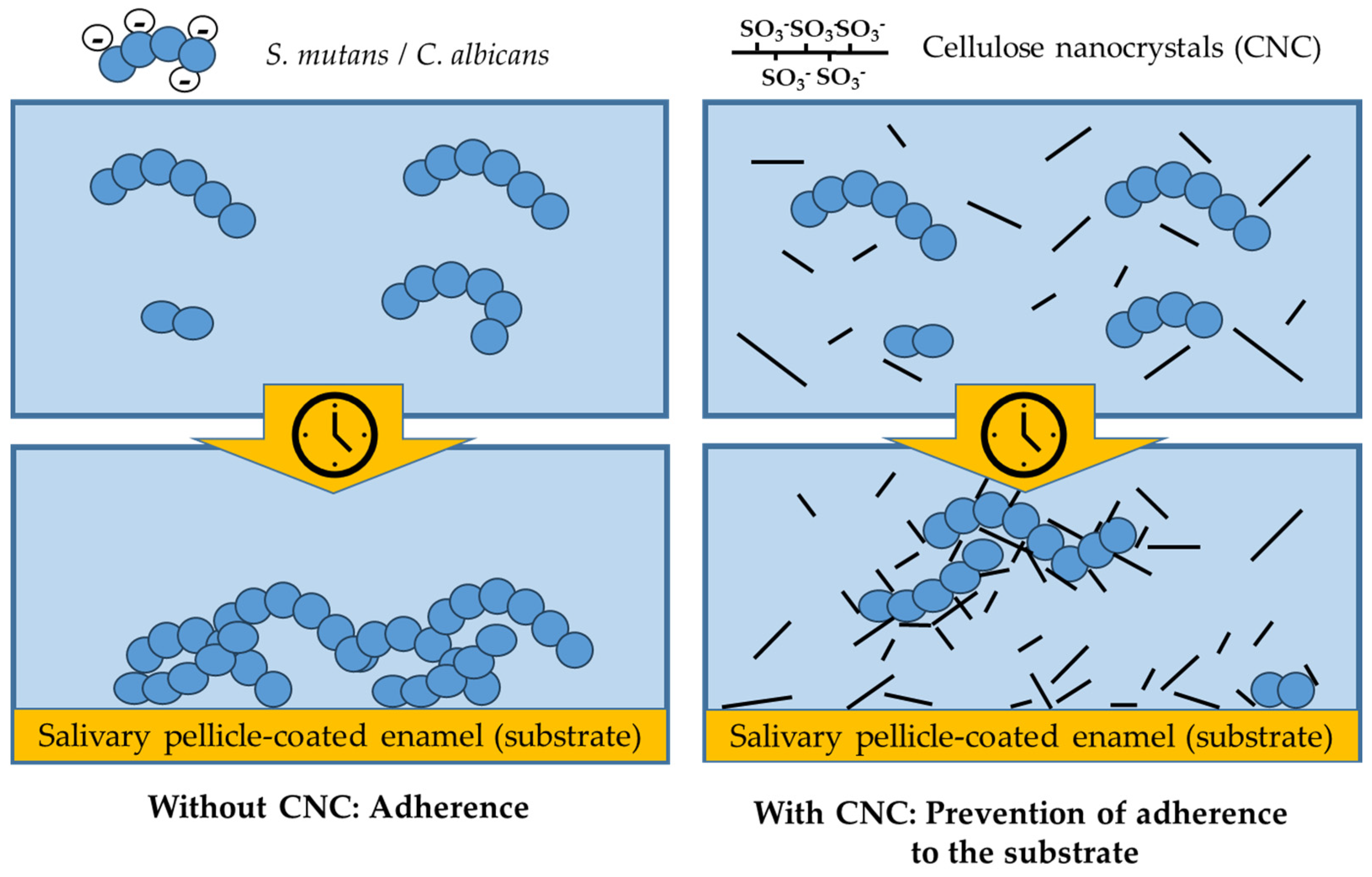 Bioengineering 11 00355 g008