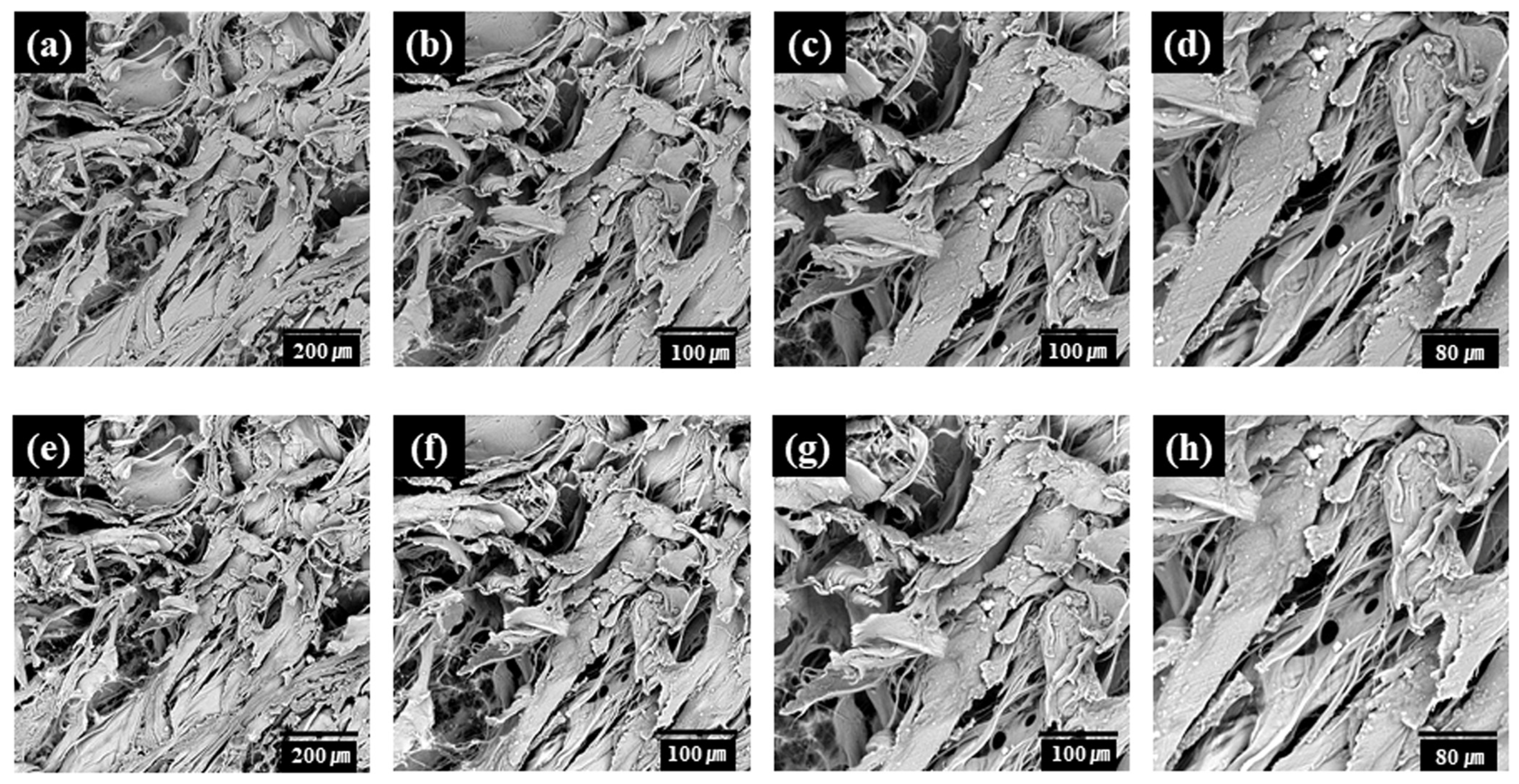 Bioengineering 11 00359 g003