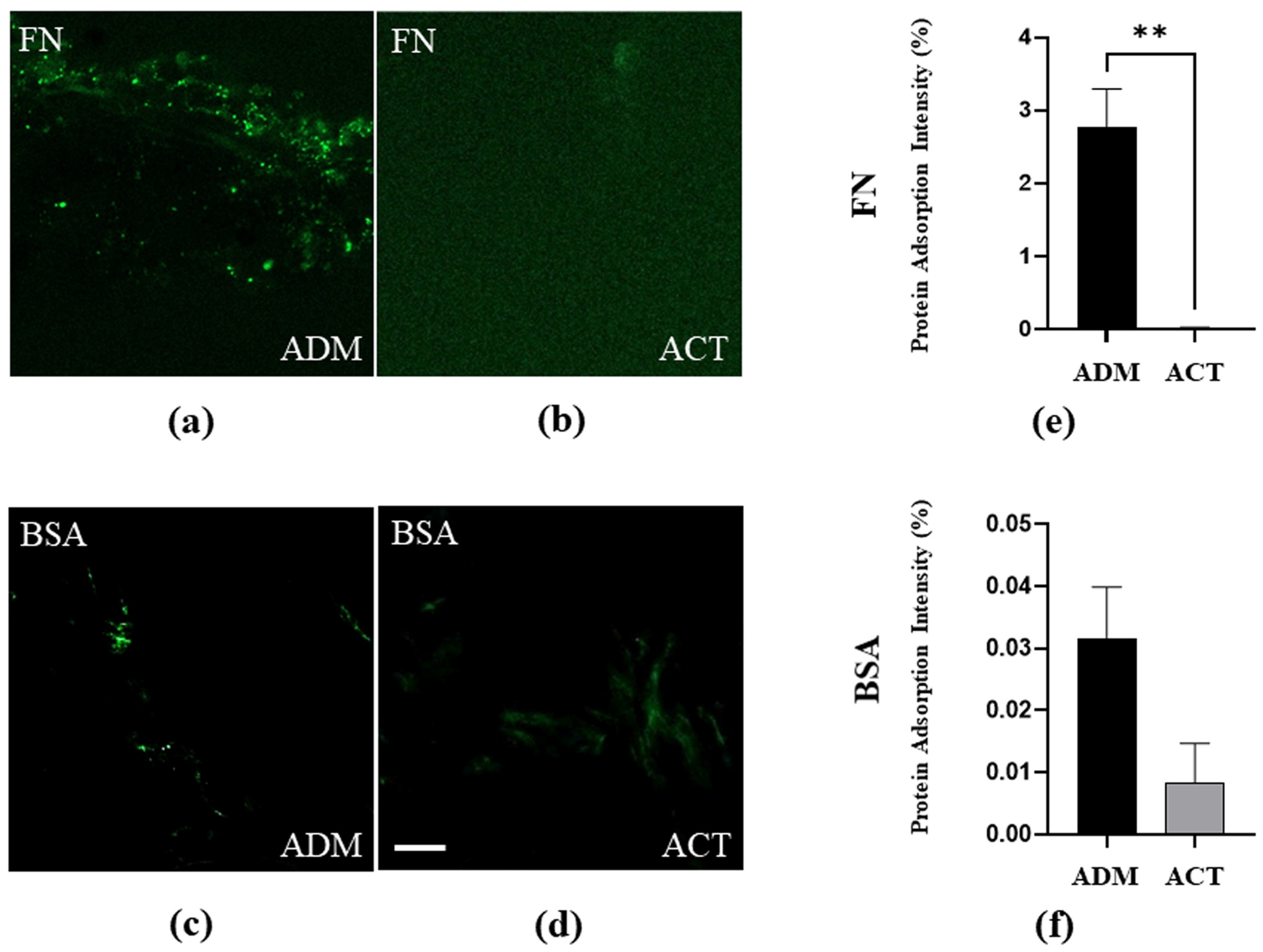 Bioengineering 11 00359 g004