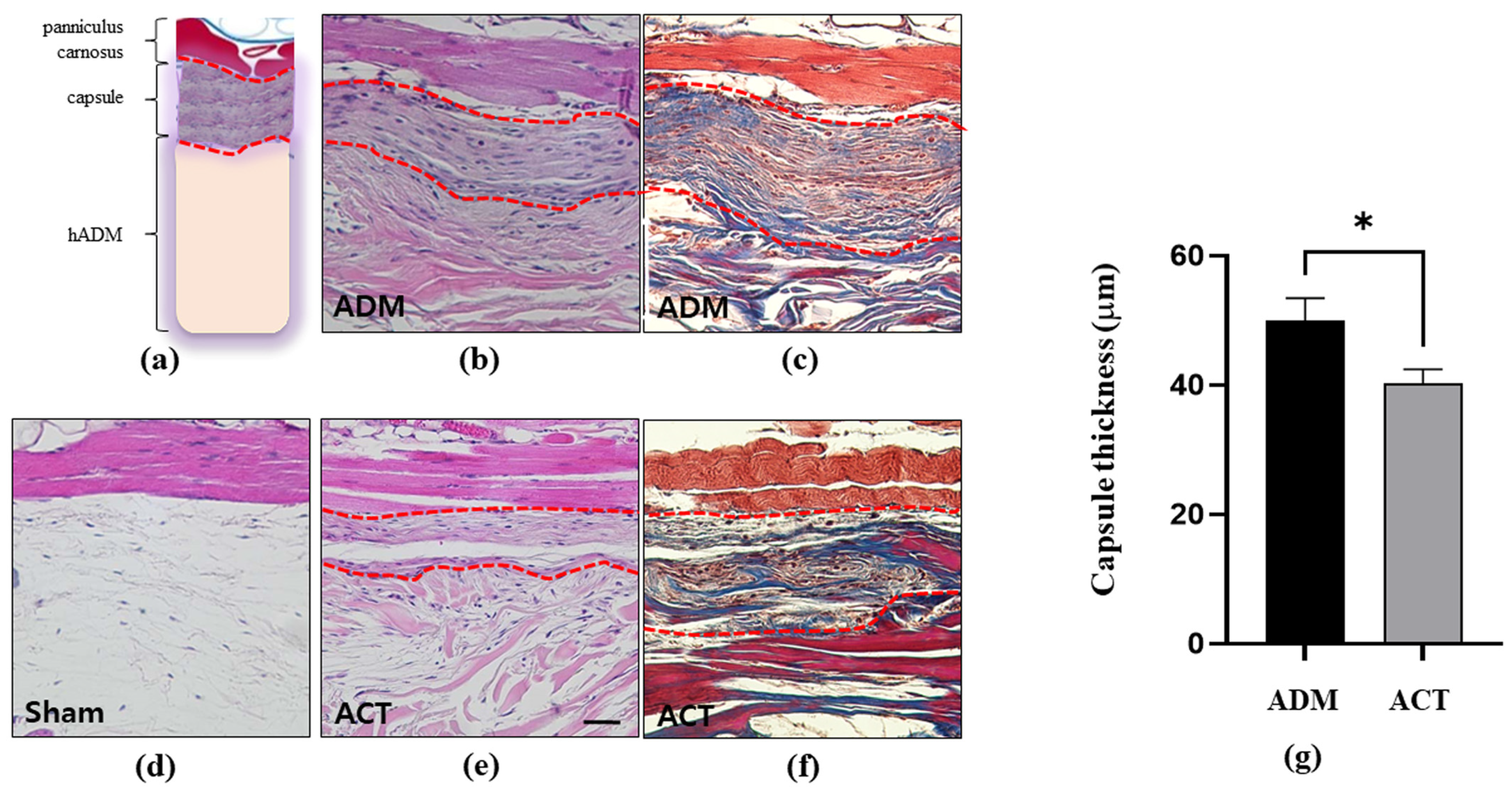 Bioengineering 11 00359 g005