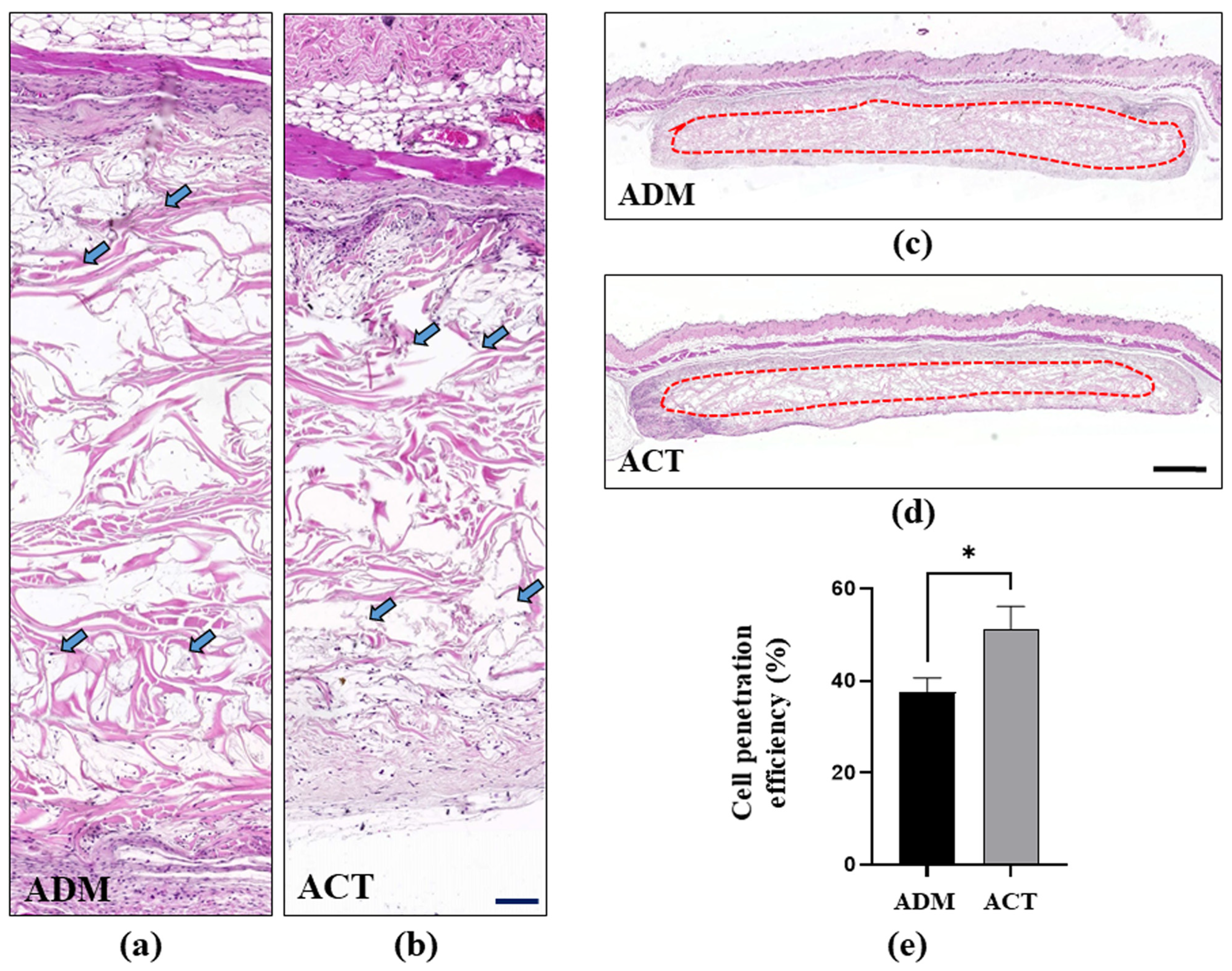 Bioengineering 11 00359 g007