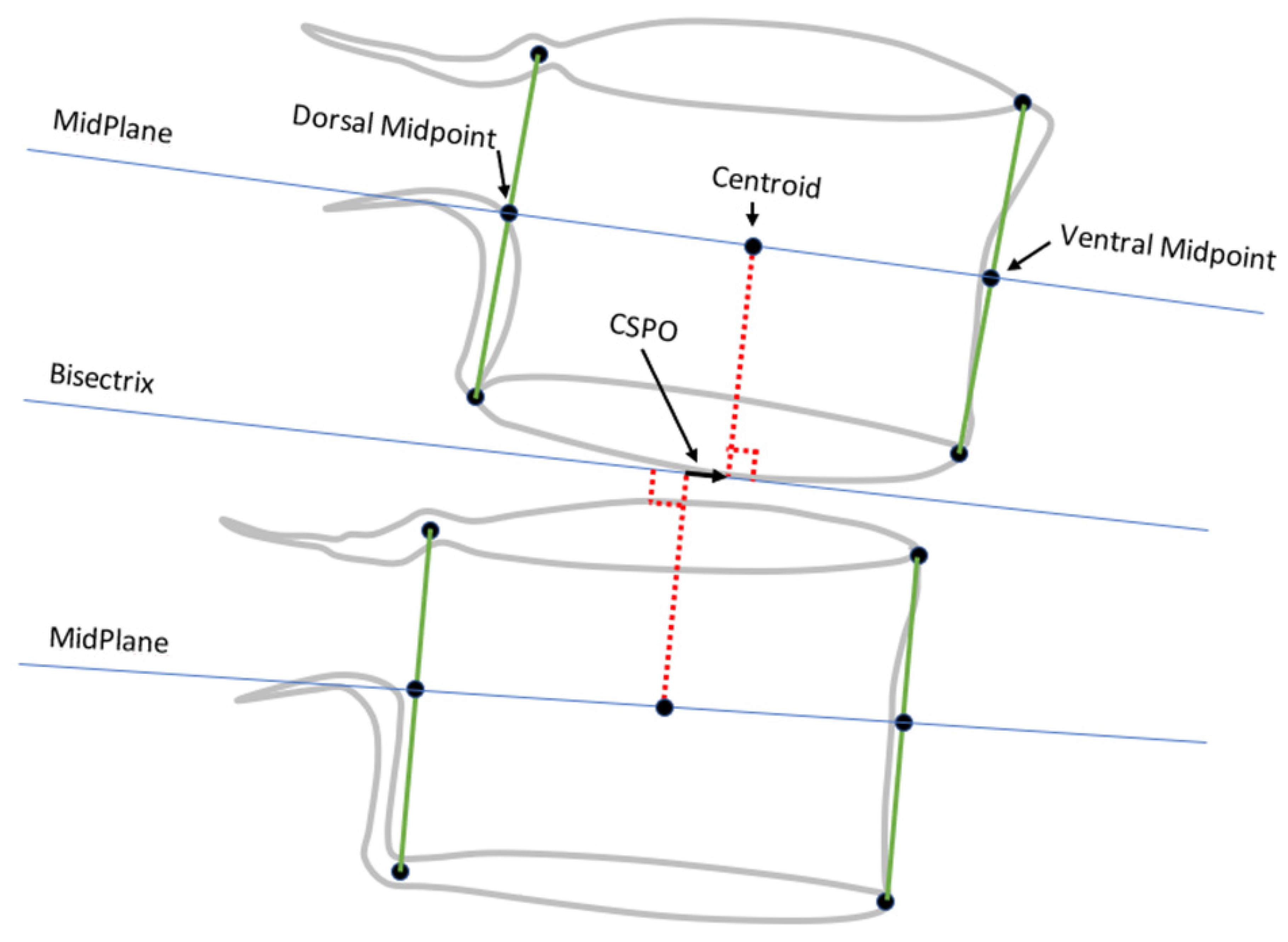 Bioengineering 11 00360 g003