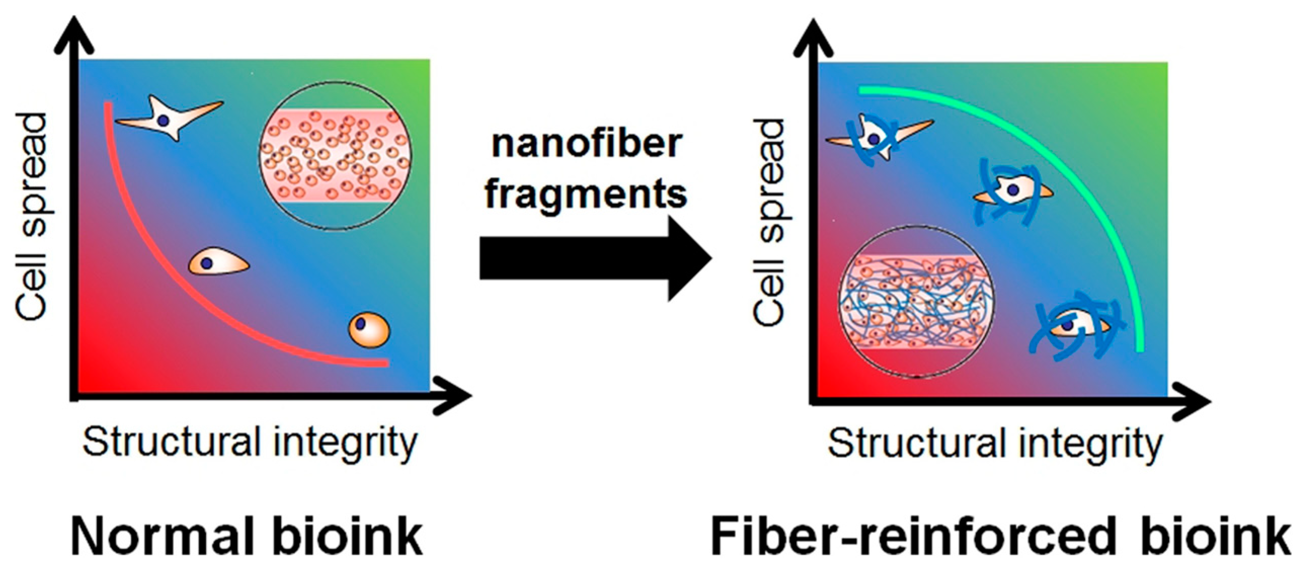 Bioengineering 11 00363 g001