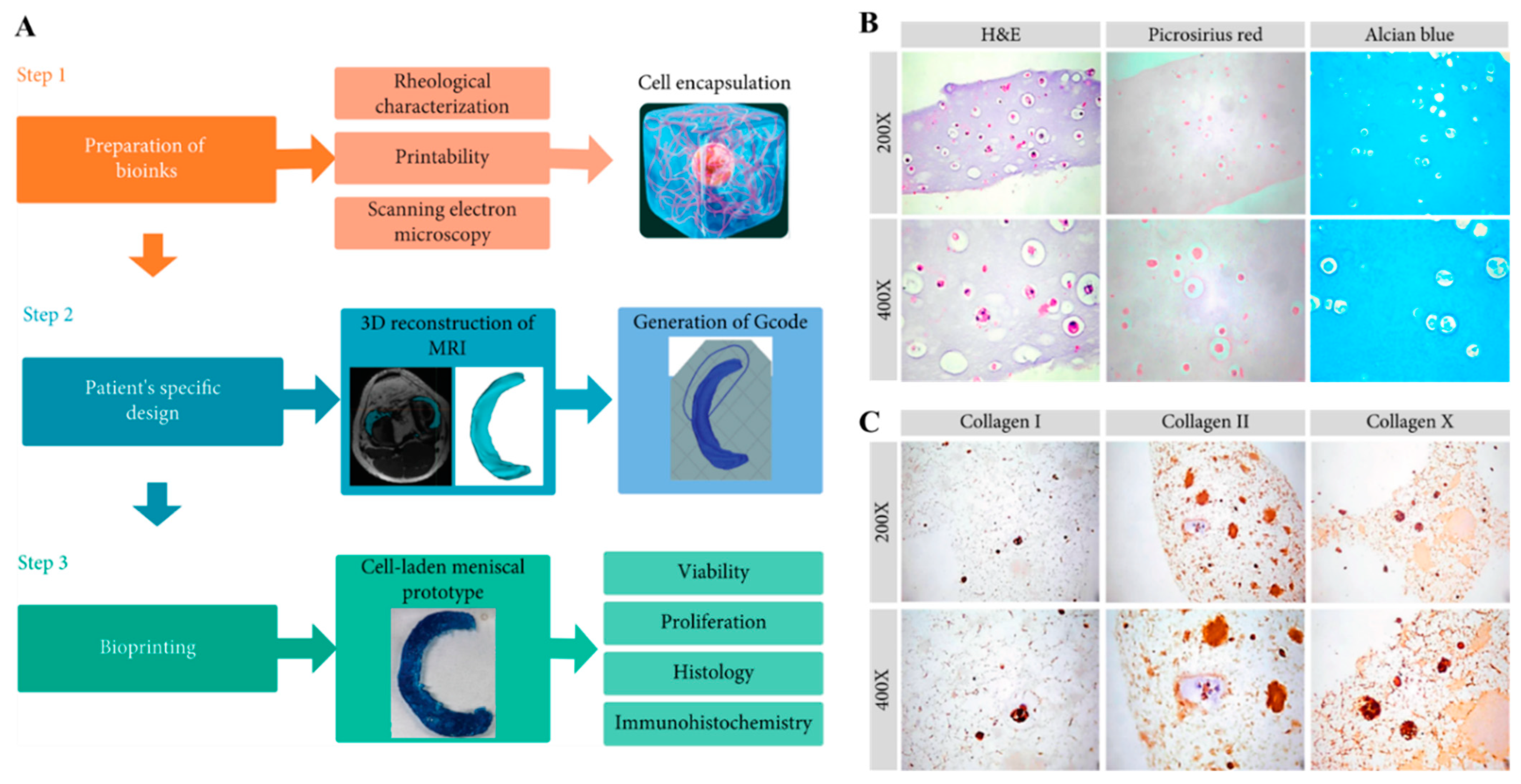 Bioengineering 11 00363 g005