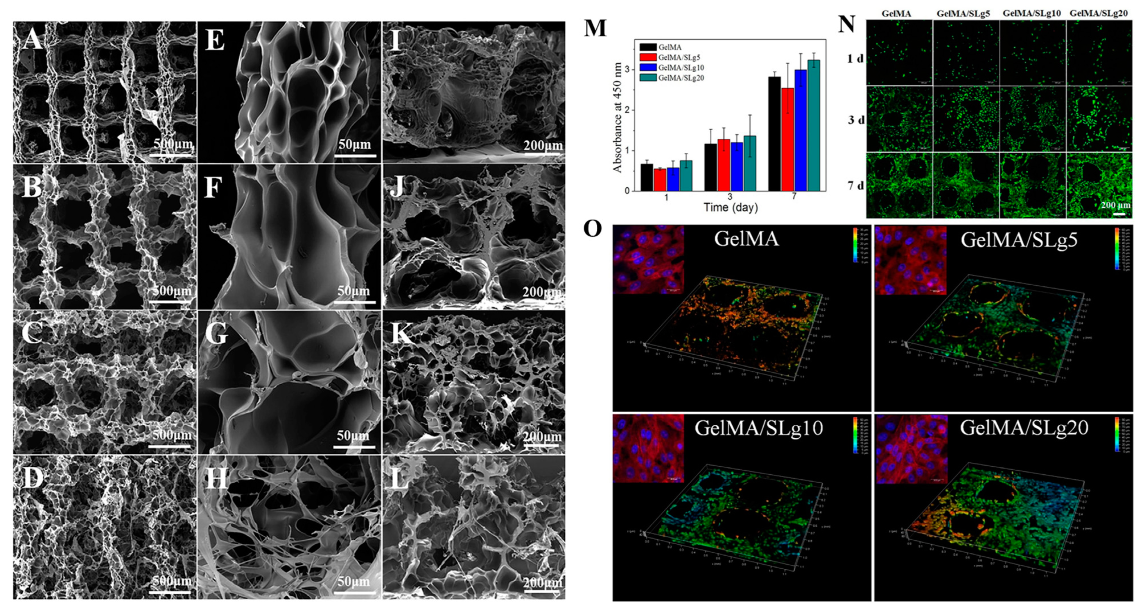 Bioengineering 11 00363 g007