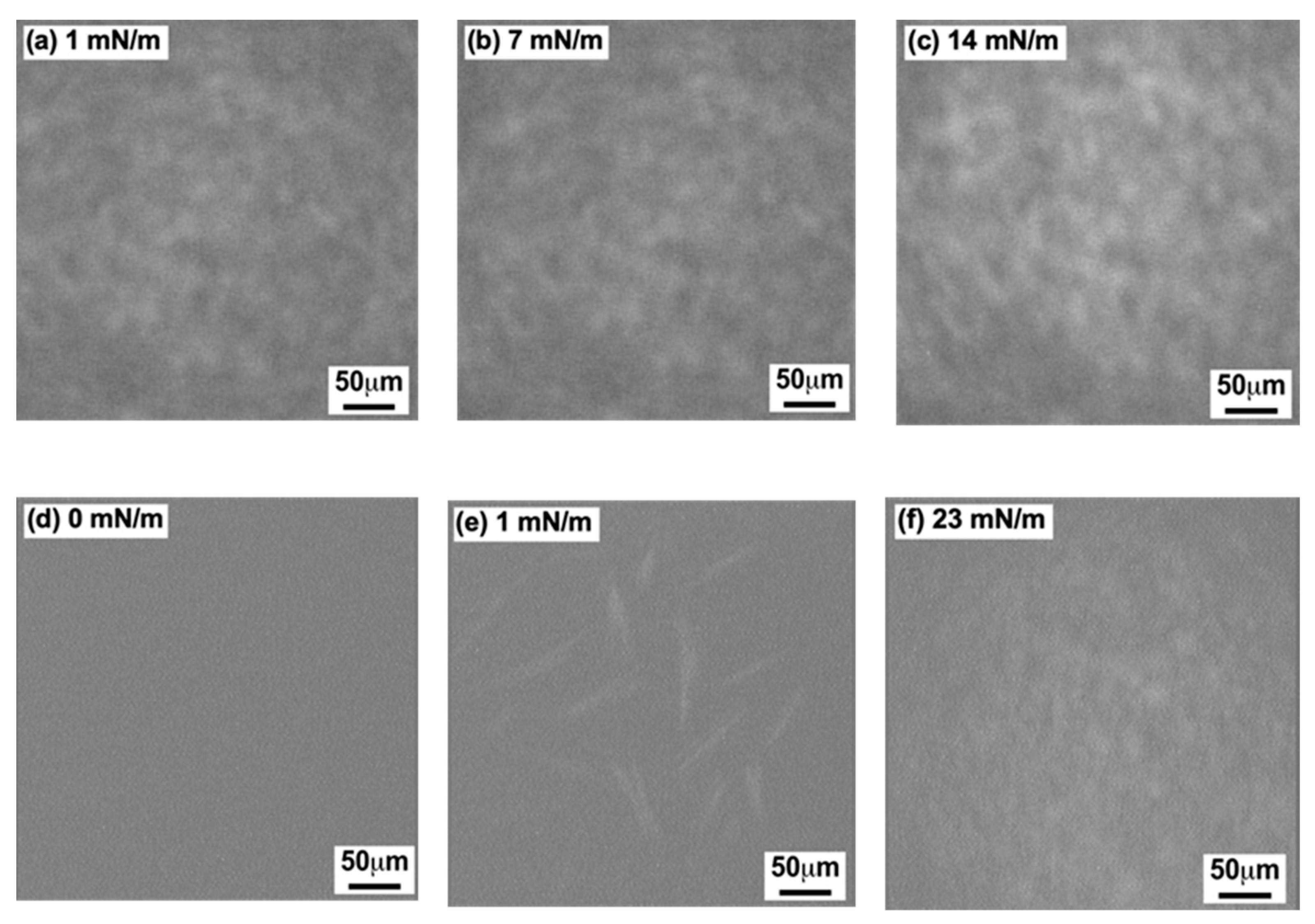 Bioengineering 11 00366 g004