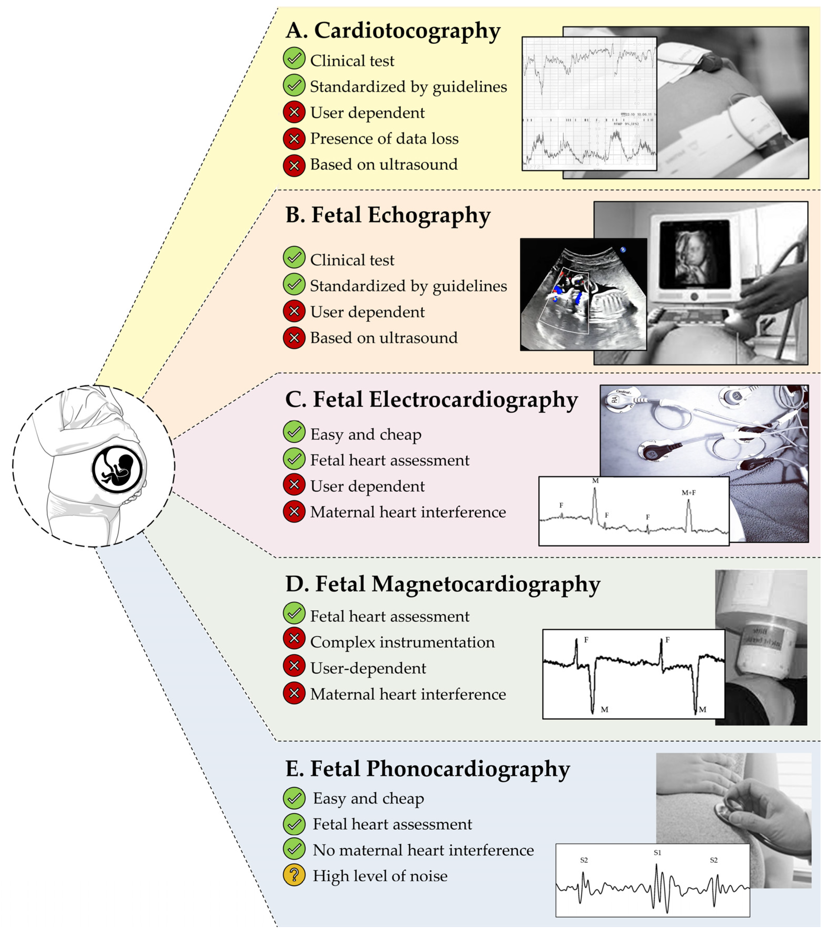 Bioengineering 11 00367 g001