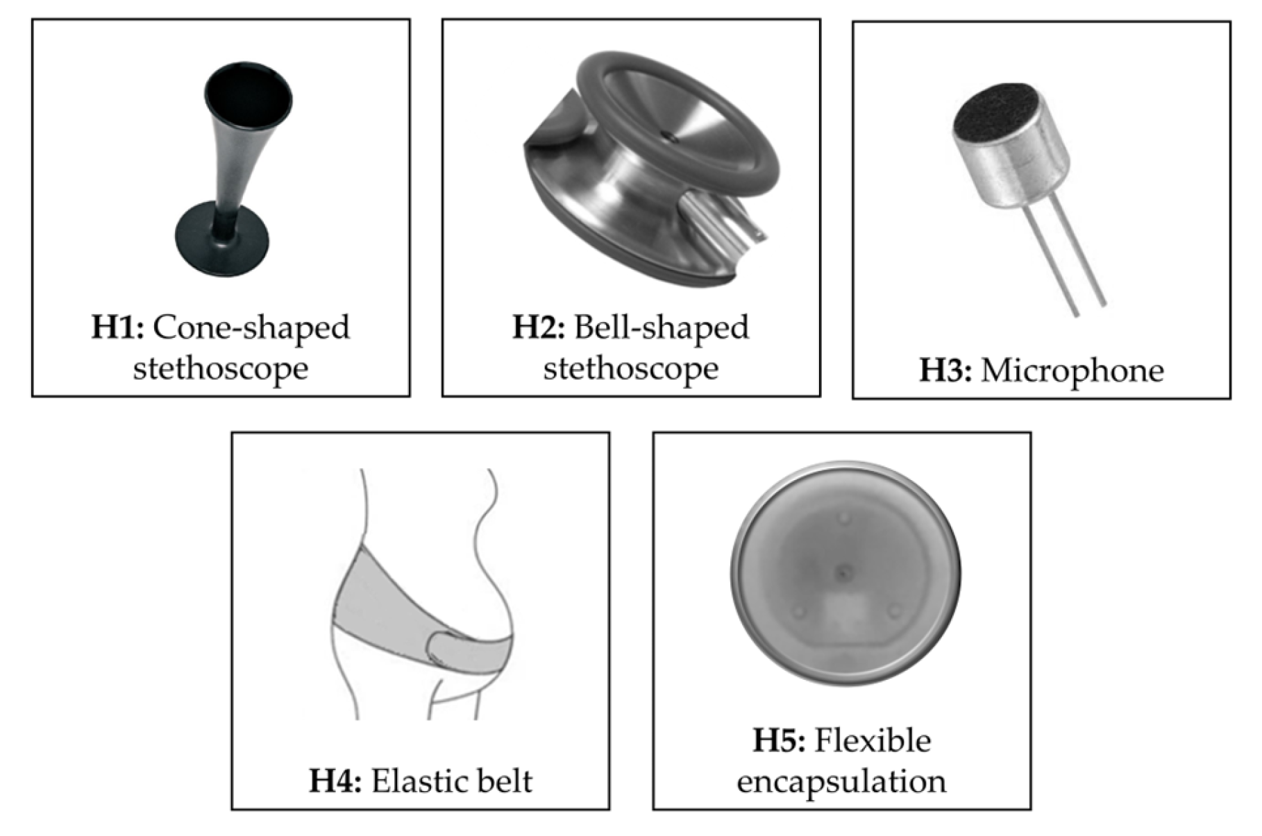 Bioengineering 11 00367 g005