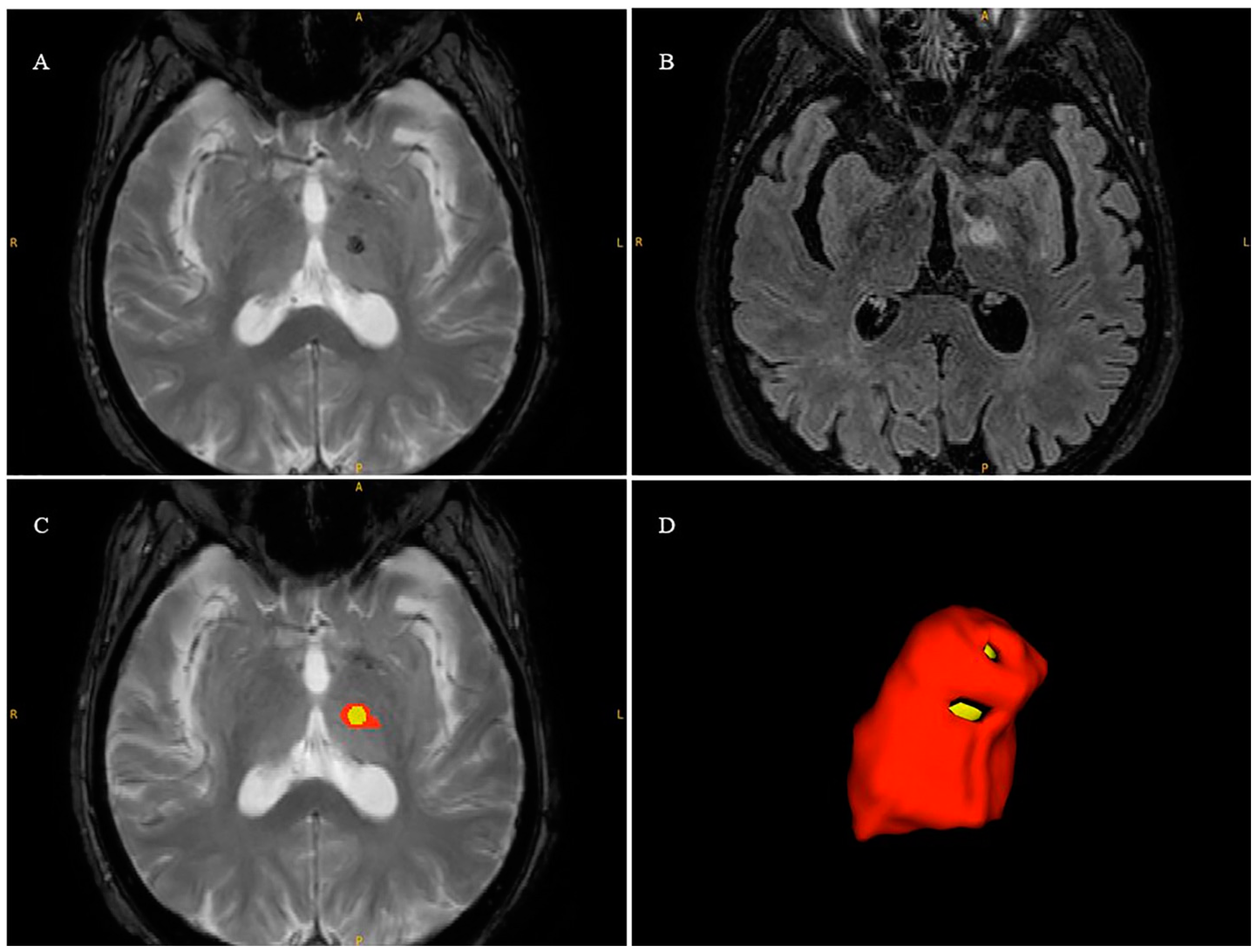 Bioengineering 11 00373 g001