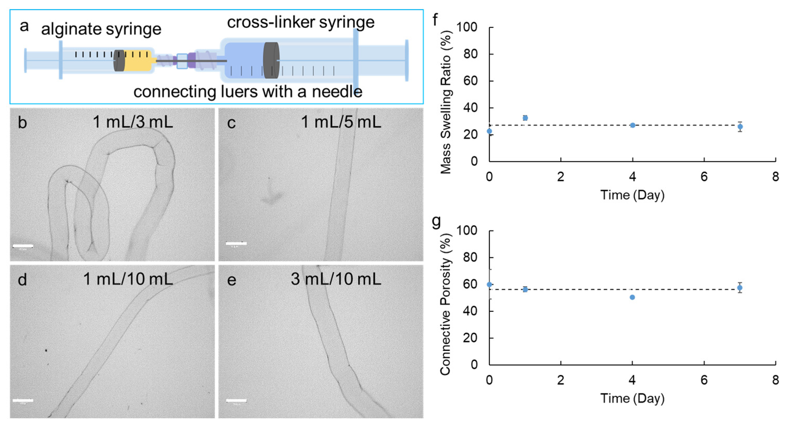 Bioengineering 11 00375 g001 Bioengineering 11 00375 g001