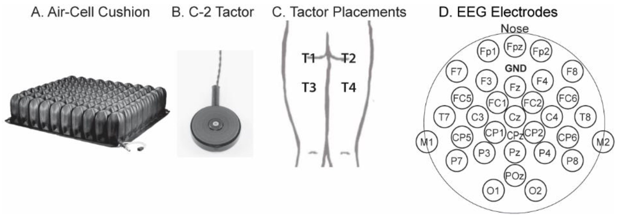 Bioengineering 11 00377 g001 Bioengineering 11 00377 g001