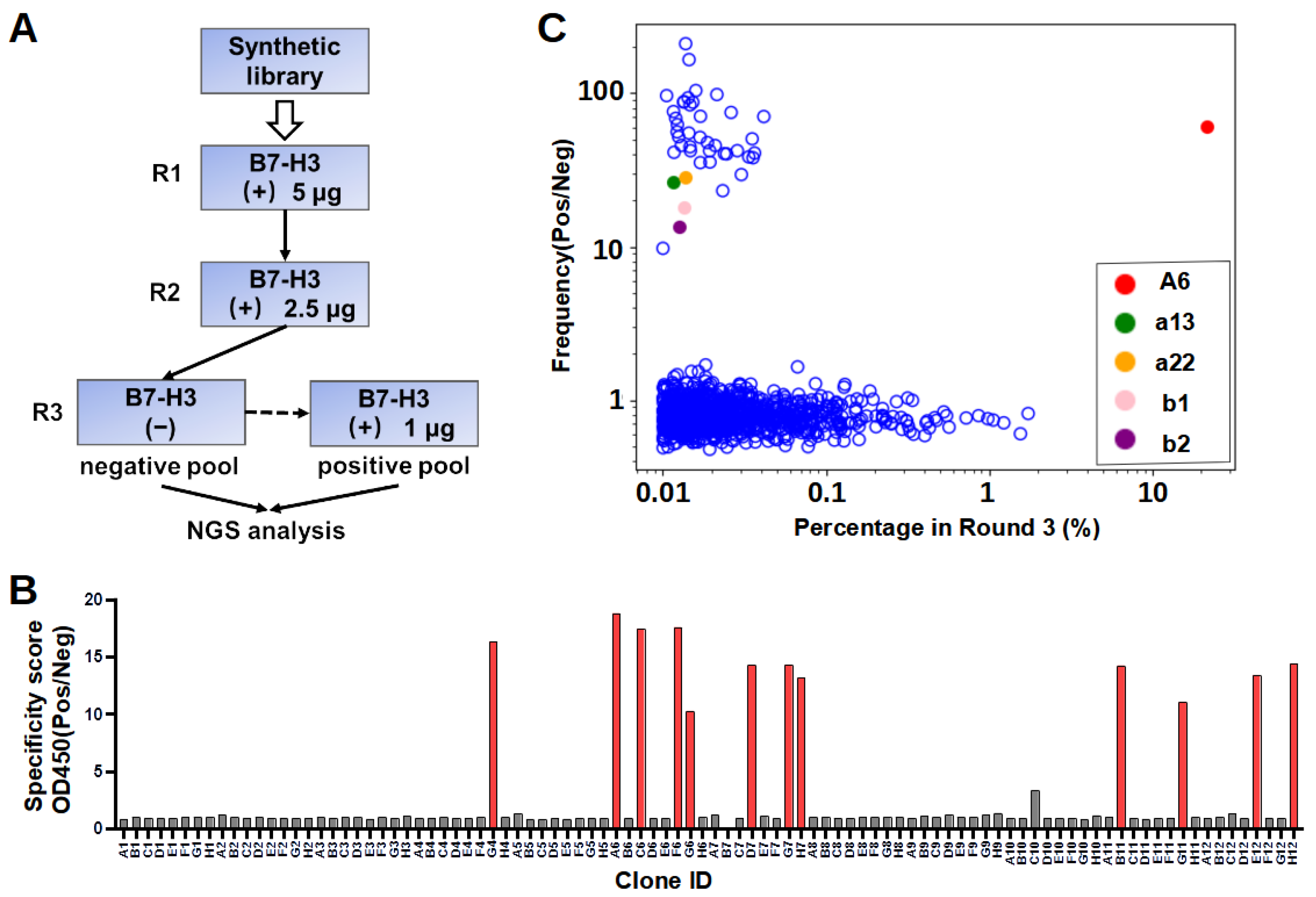 Bioengineering 11 00381 g002