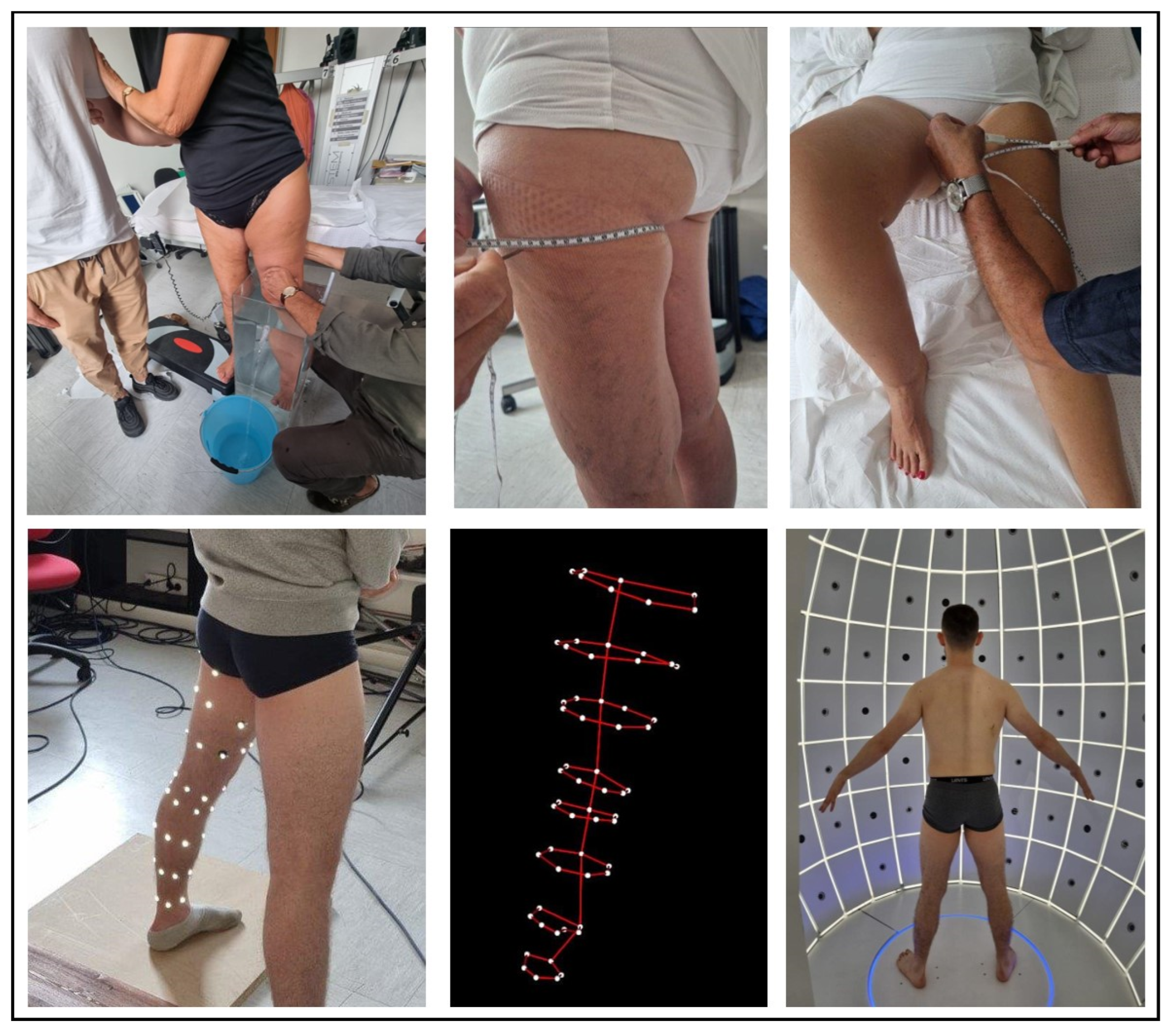 Bioengineering 11 00382 g001