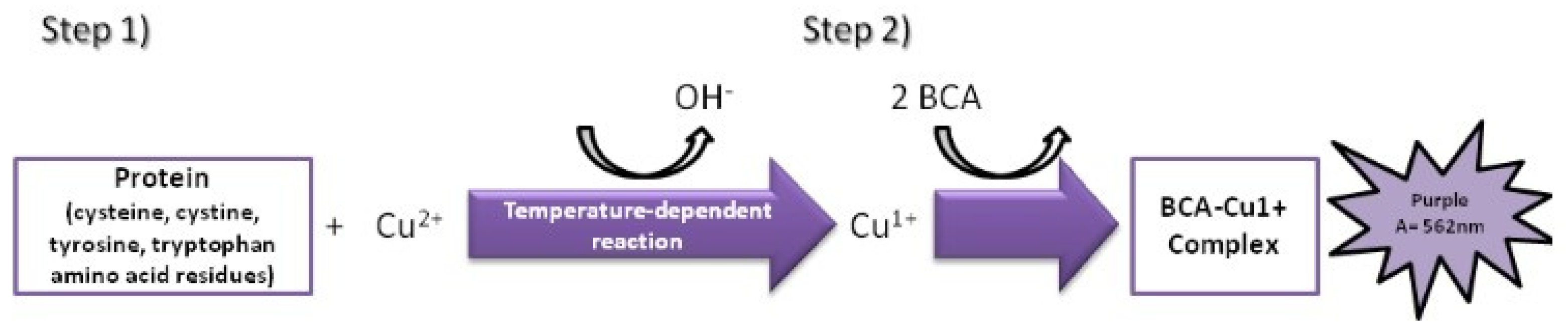 Bioengineering 11 00387 g003