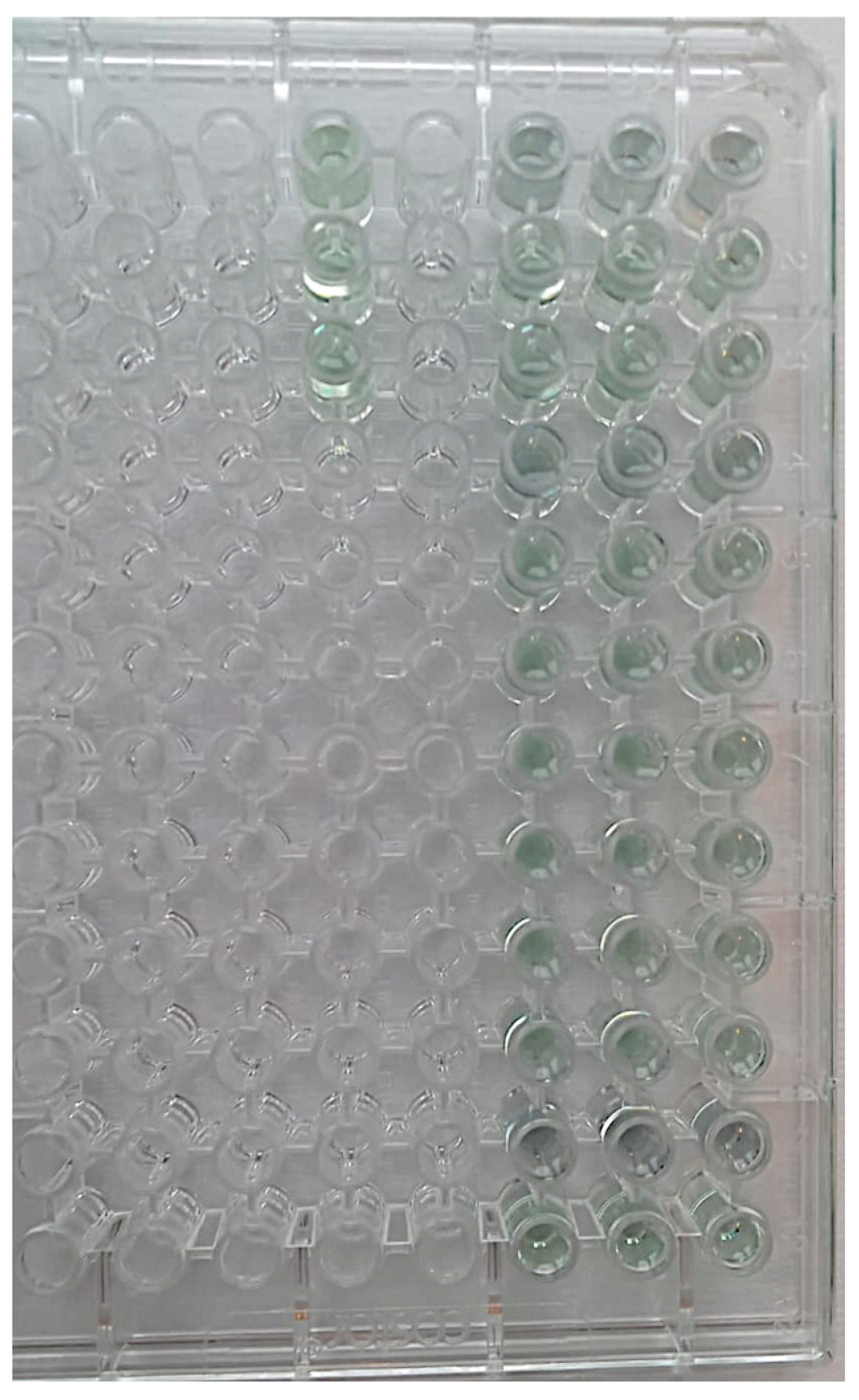 Bioengineering 11 00387 g006