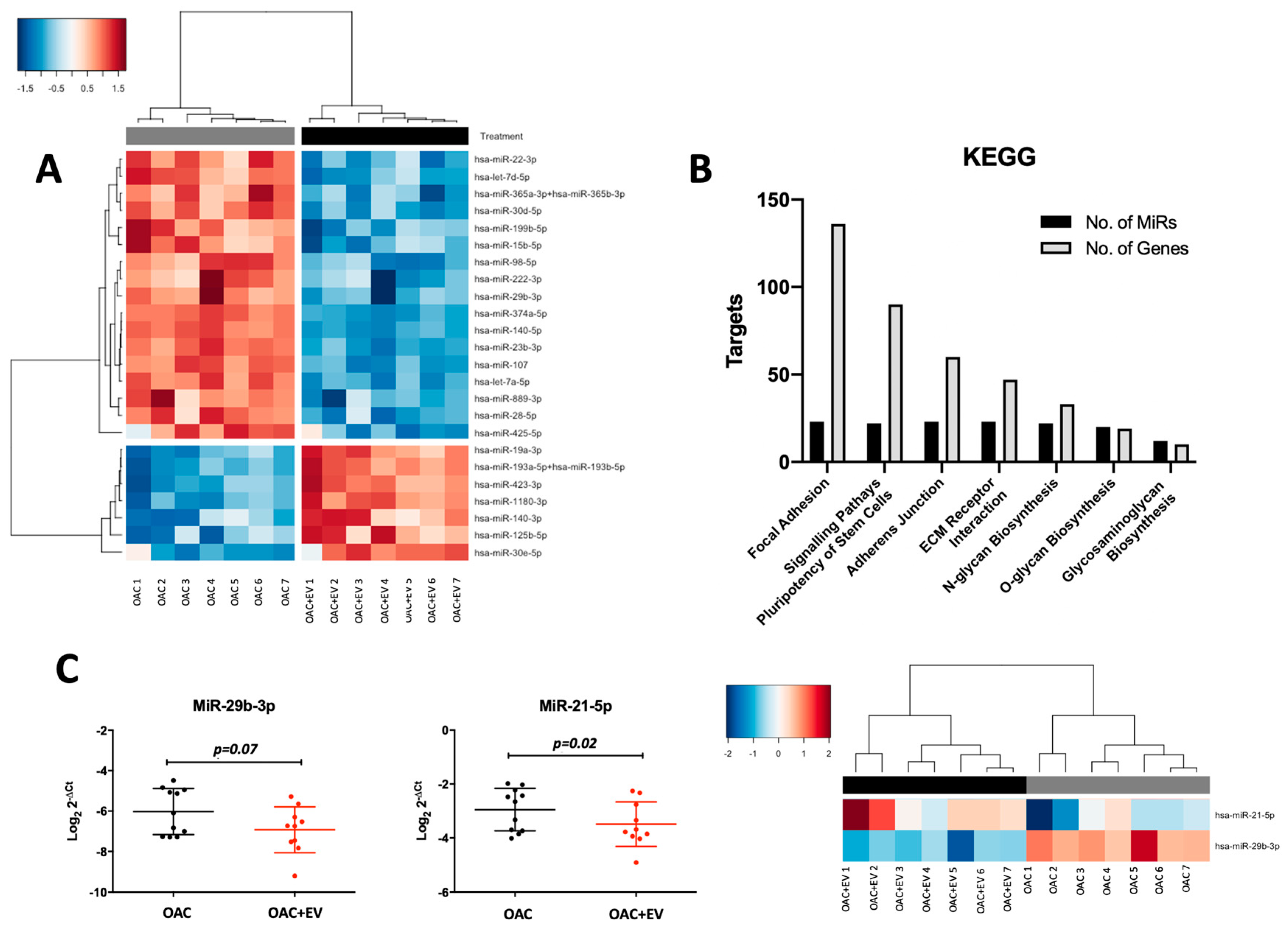 Bioengineering 11 00388 g007
