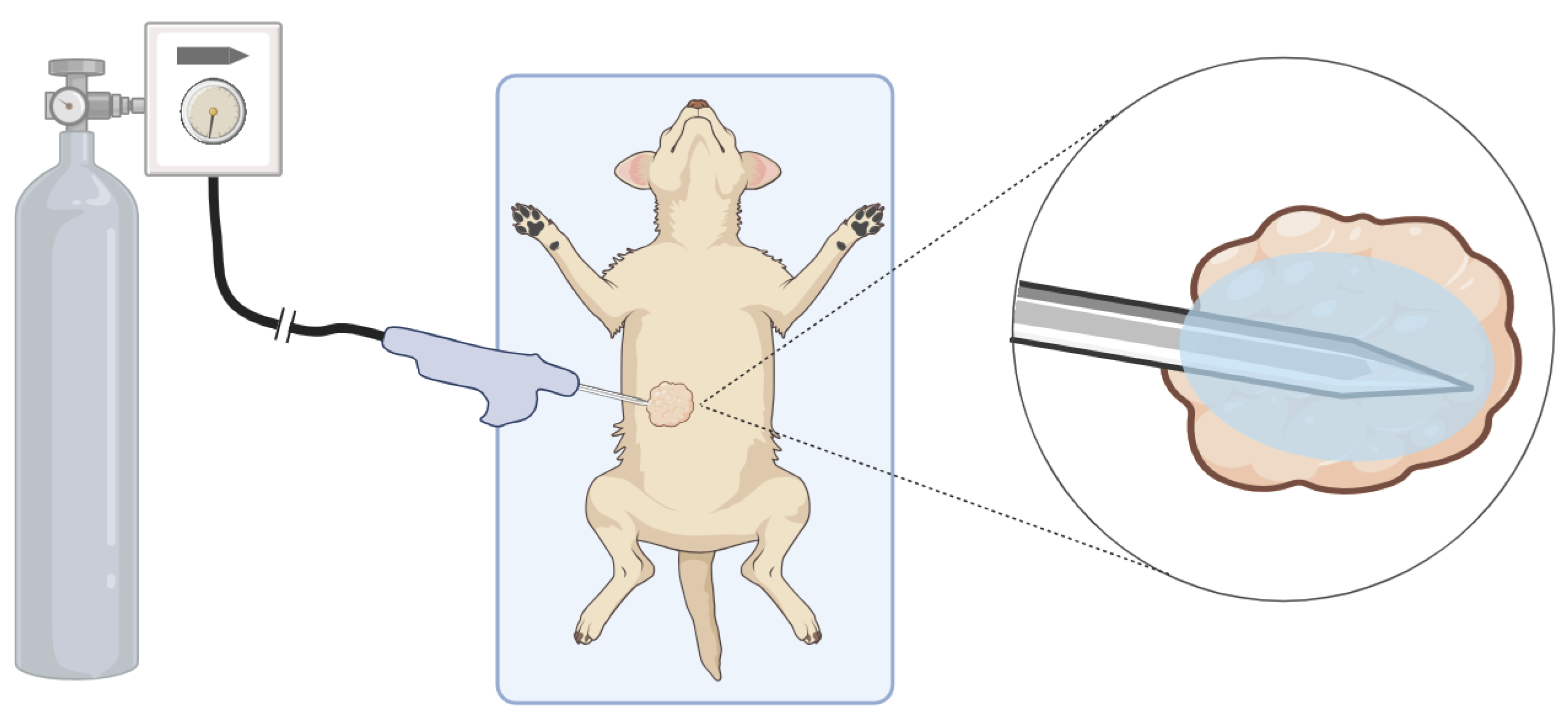 Bioengineering 11 00391 g004