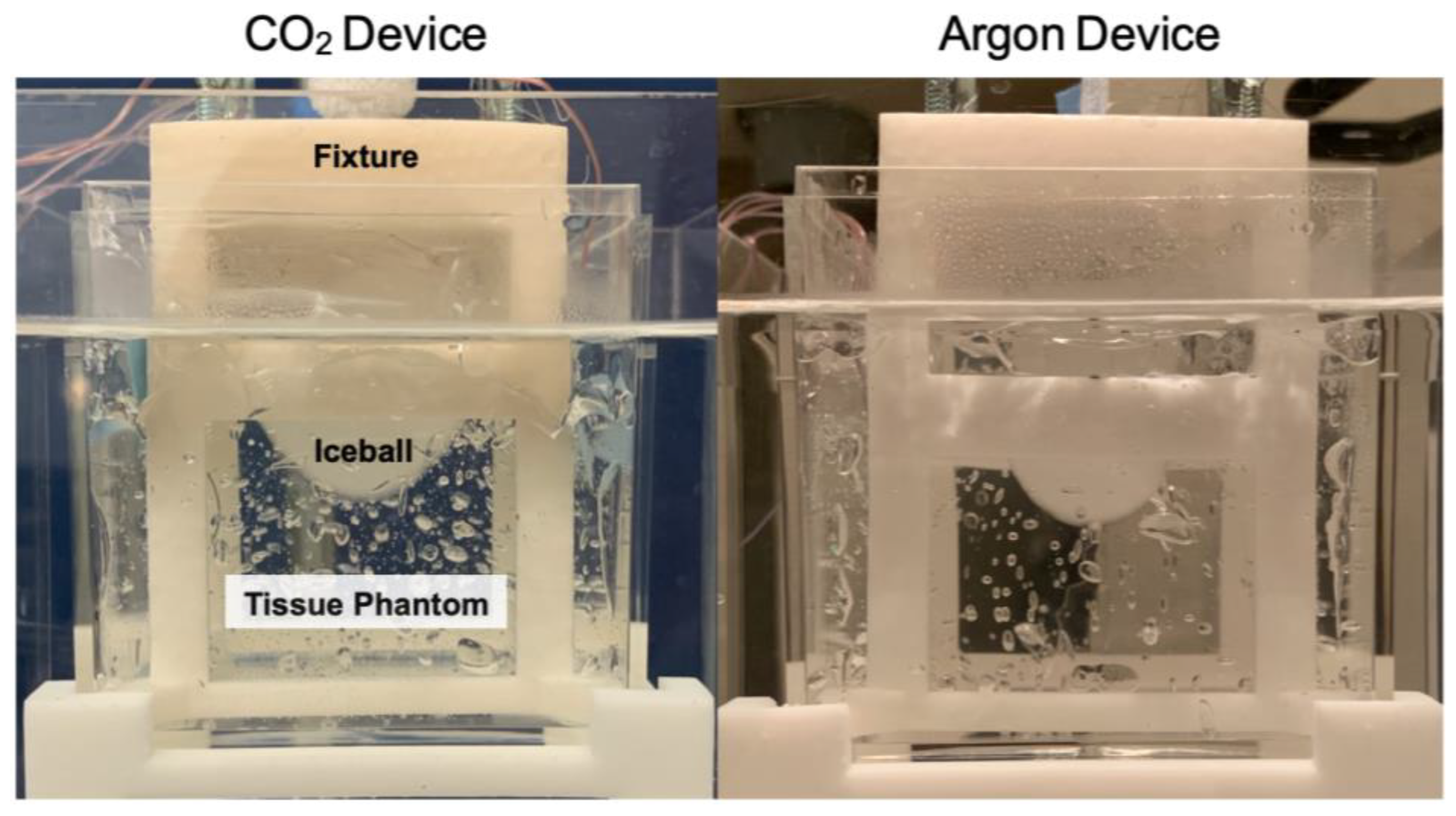 Bioengineering 11 00391 g006