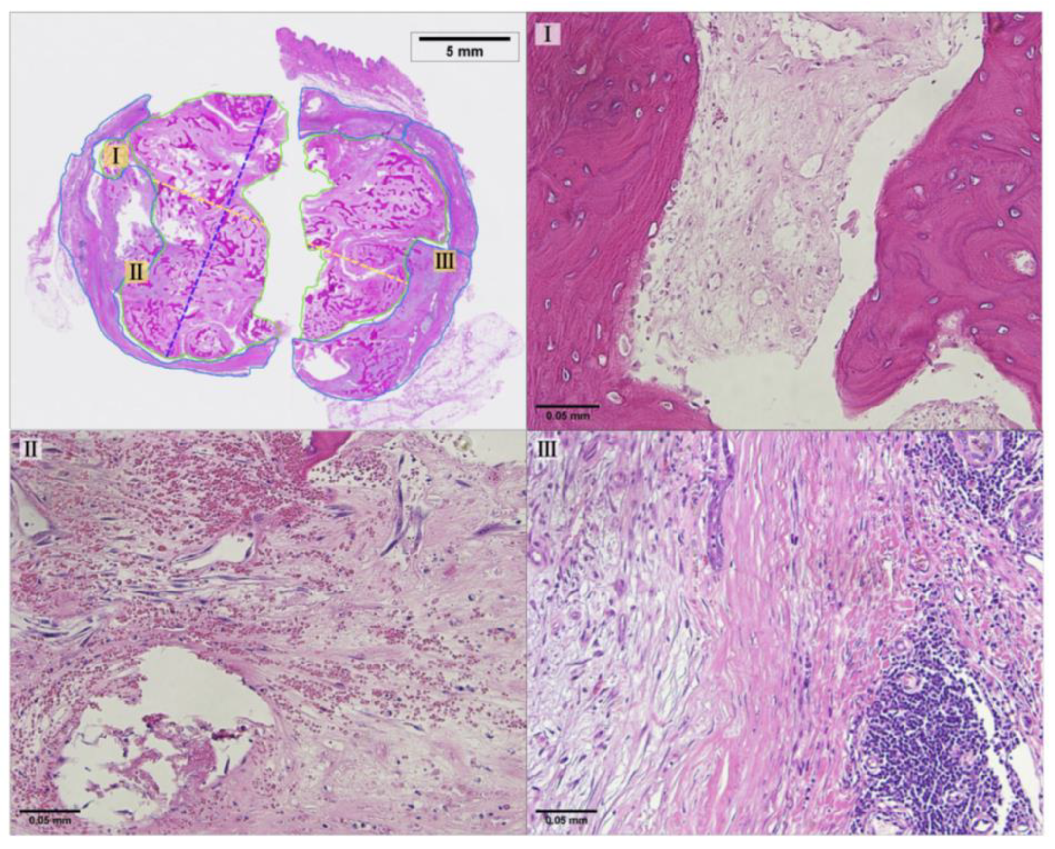 Bioengineering 11 00391 g010