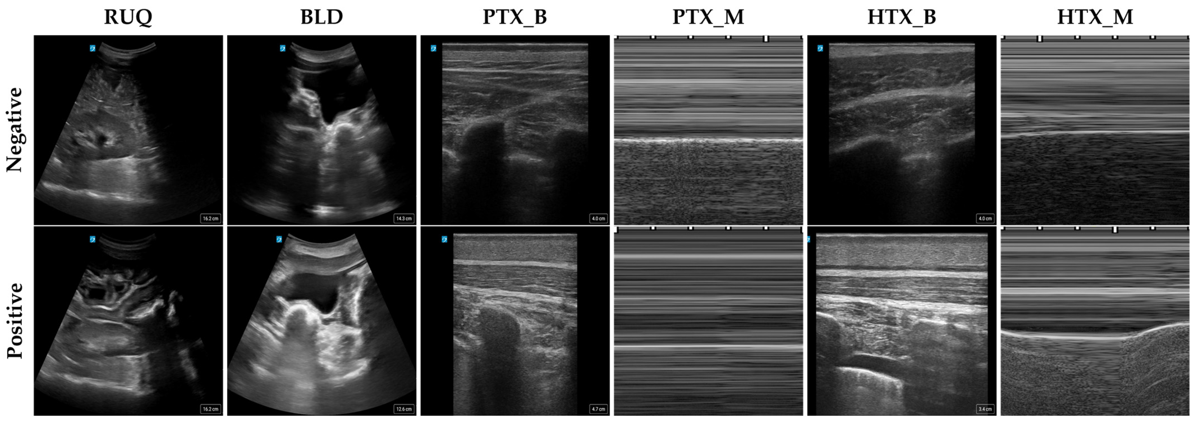 Bioengineering 11 00392 g001