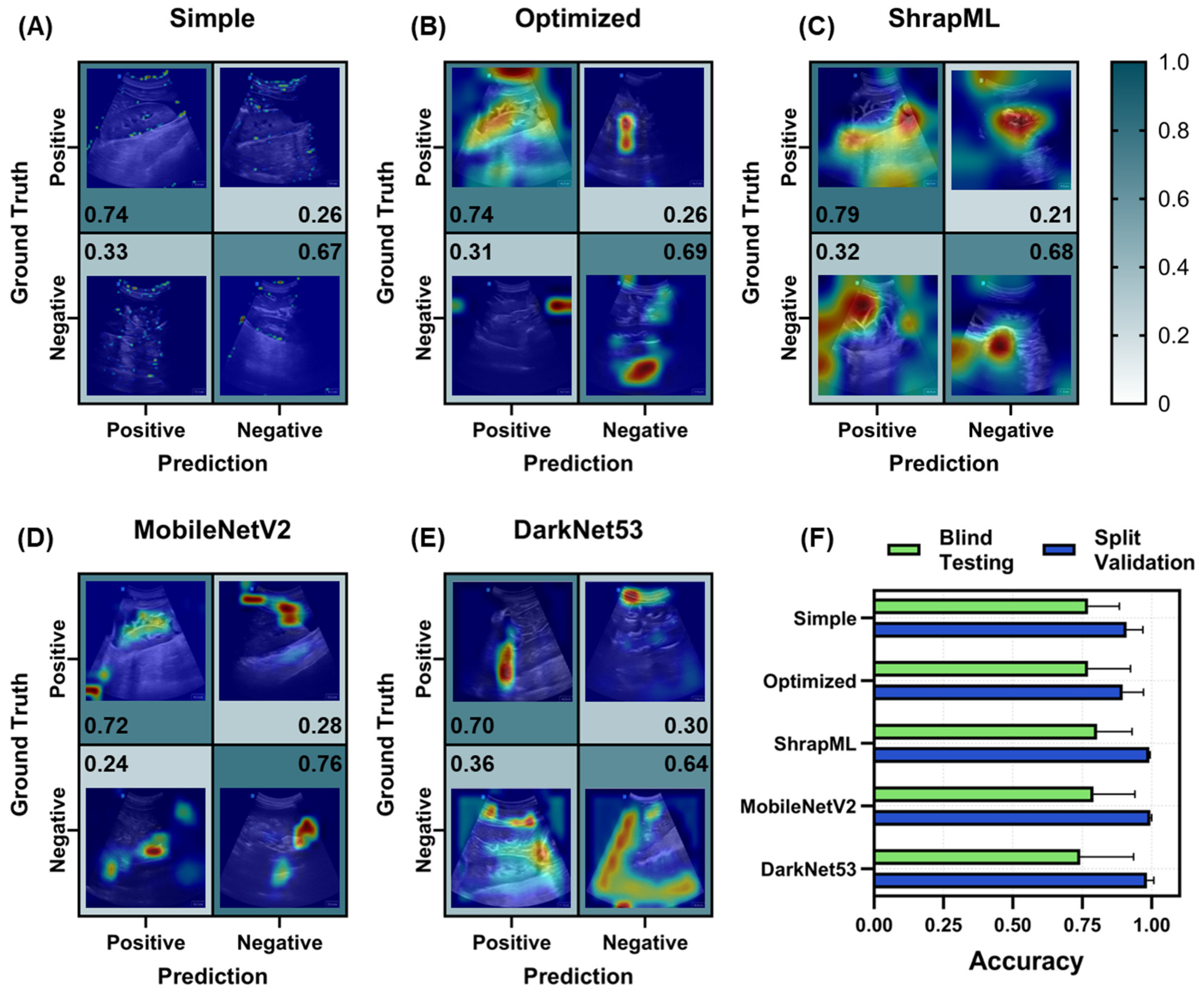 Bioengineering 11 00392 g005