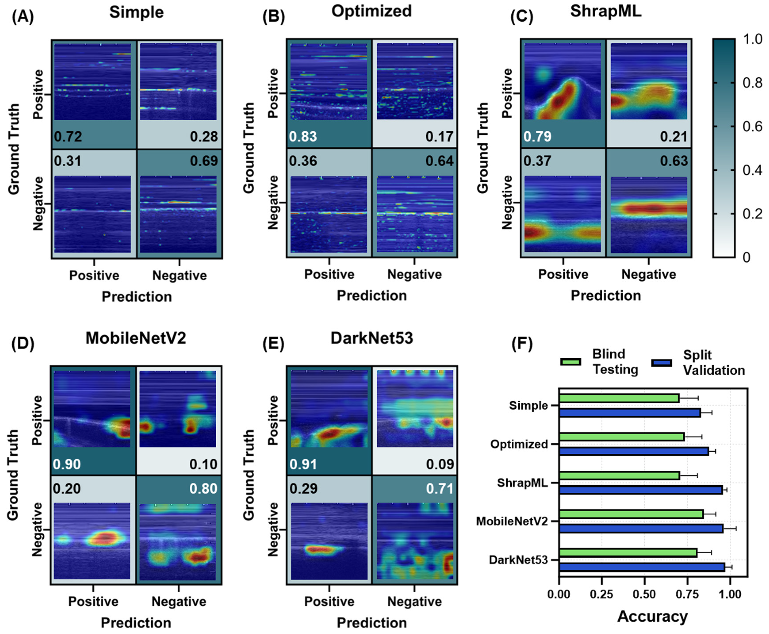 Bioengineering 11 00392 g010