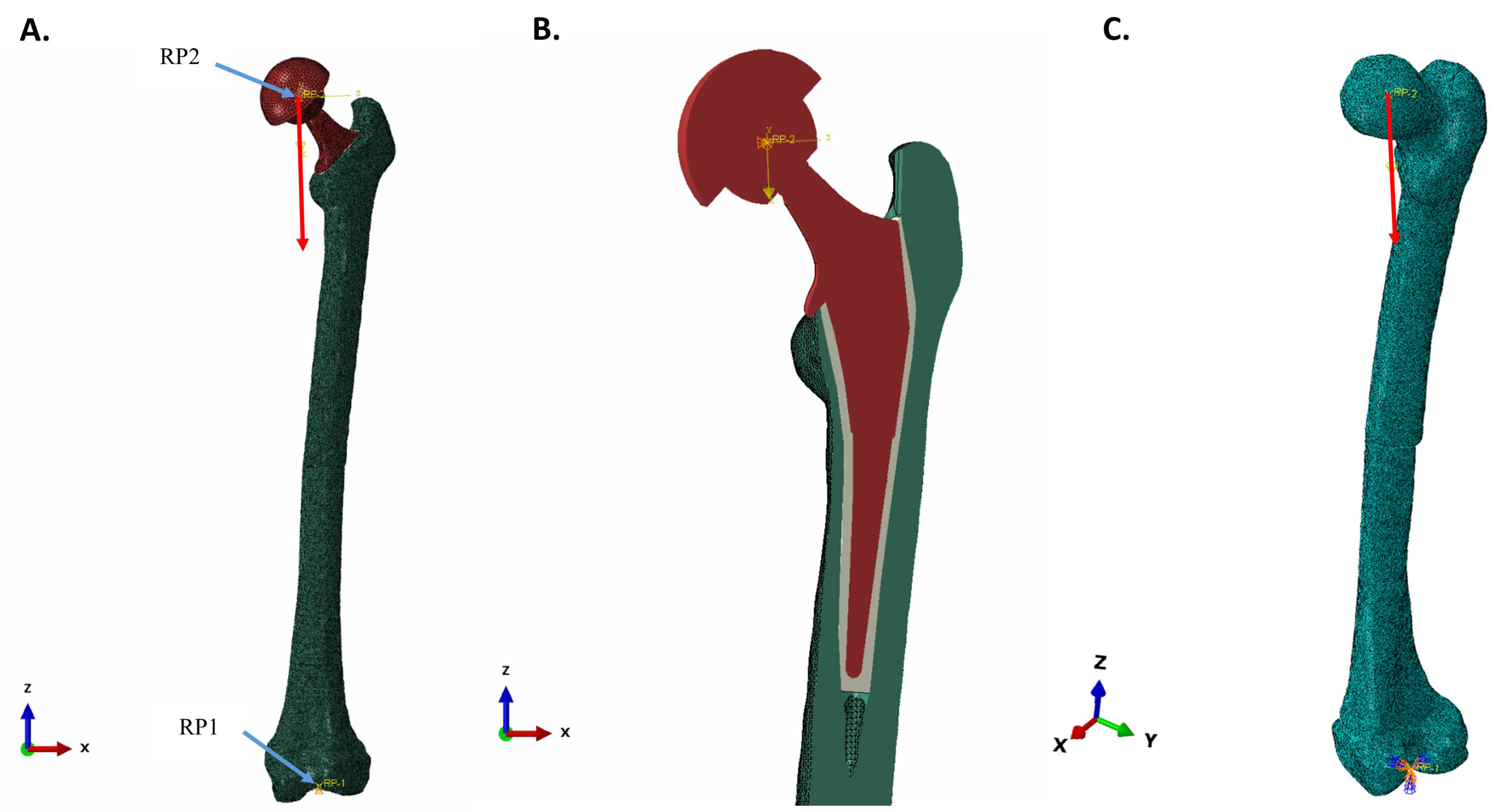 Bioengineering 11 00393 g001 Bioengineering 11 00393 g001