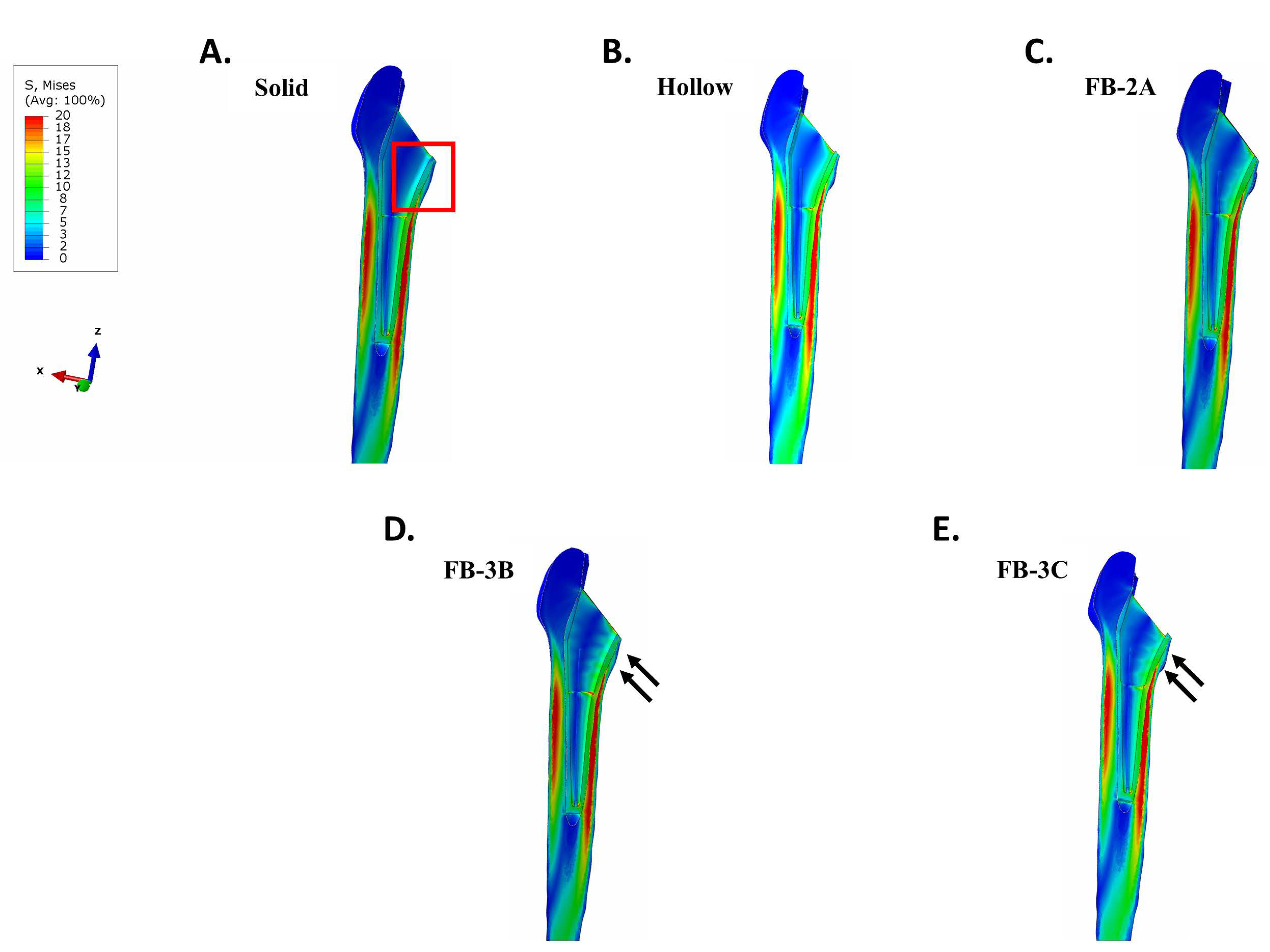 Bioengineering 11 00393 g004 Bioengineering 11 00393 g004