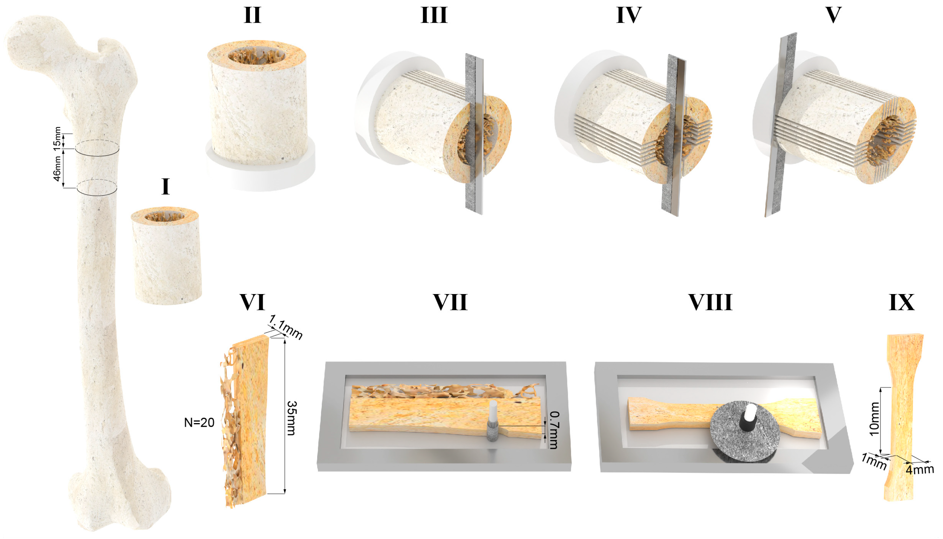 Bioengineering 11 00395 g001