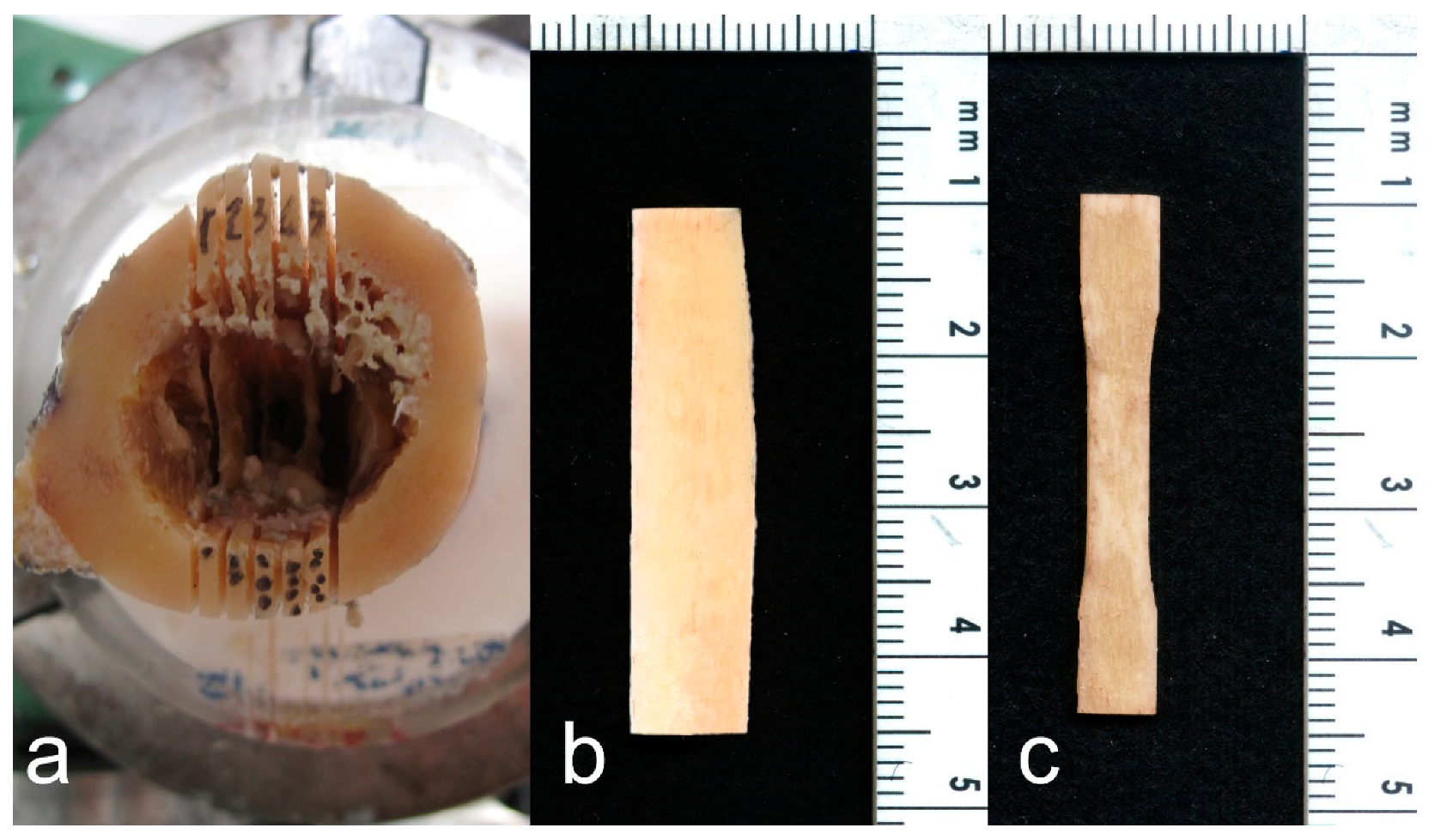 Bioengineering 11 00395 g002