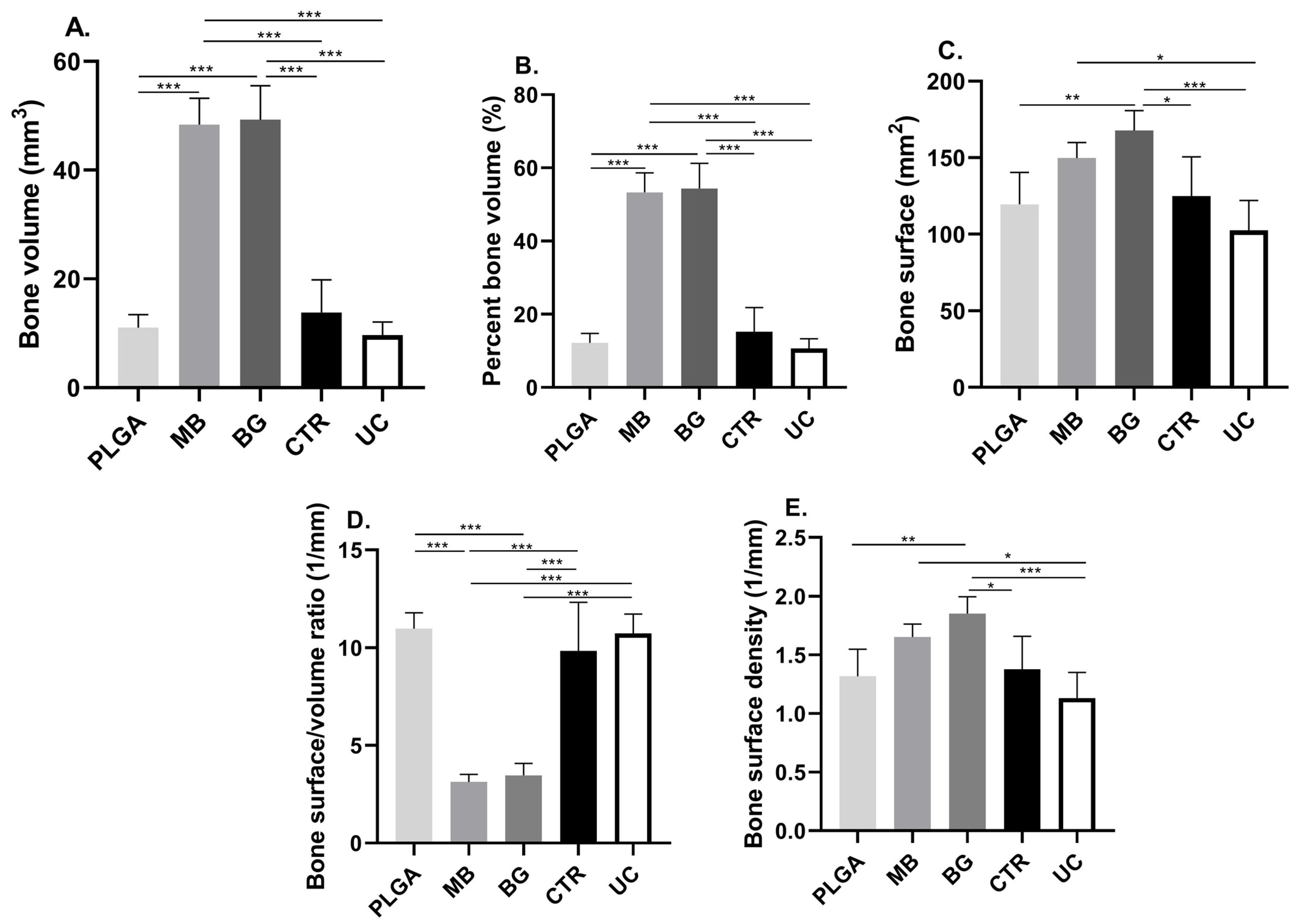 Bioengineering 11 00397 g004