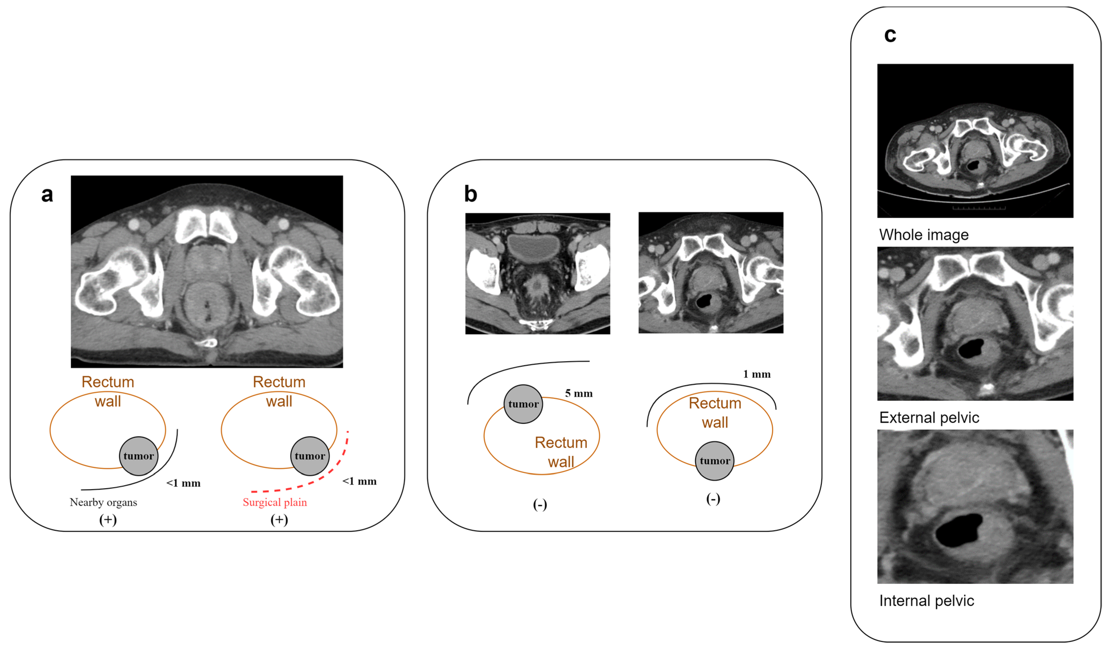 Bioengineering 11 00399 g002