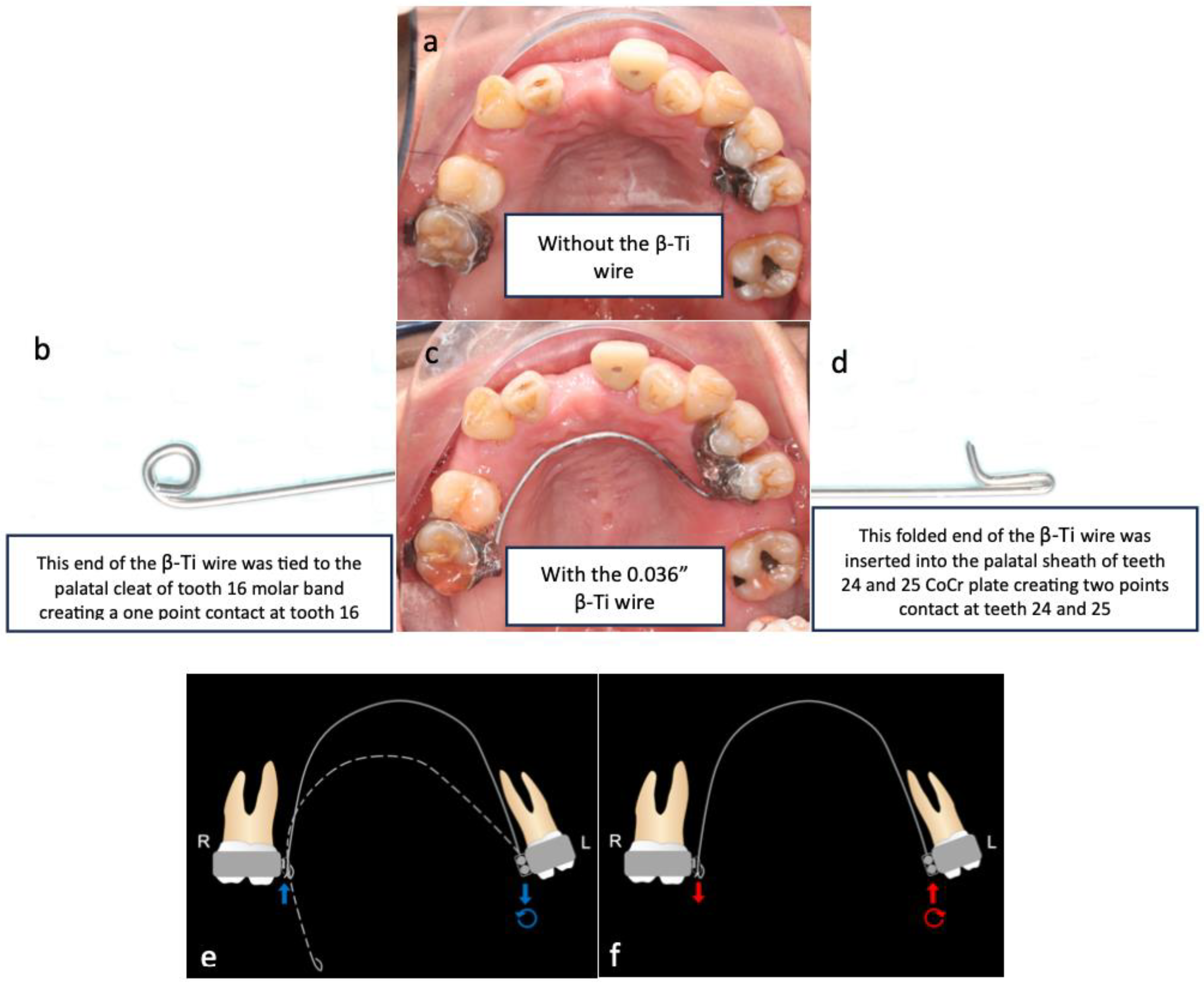 Bioengineering 11 00403 g007