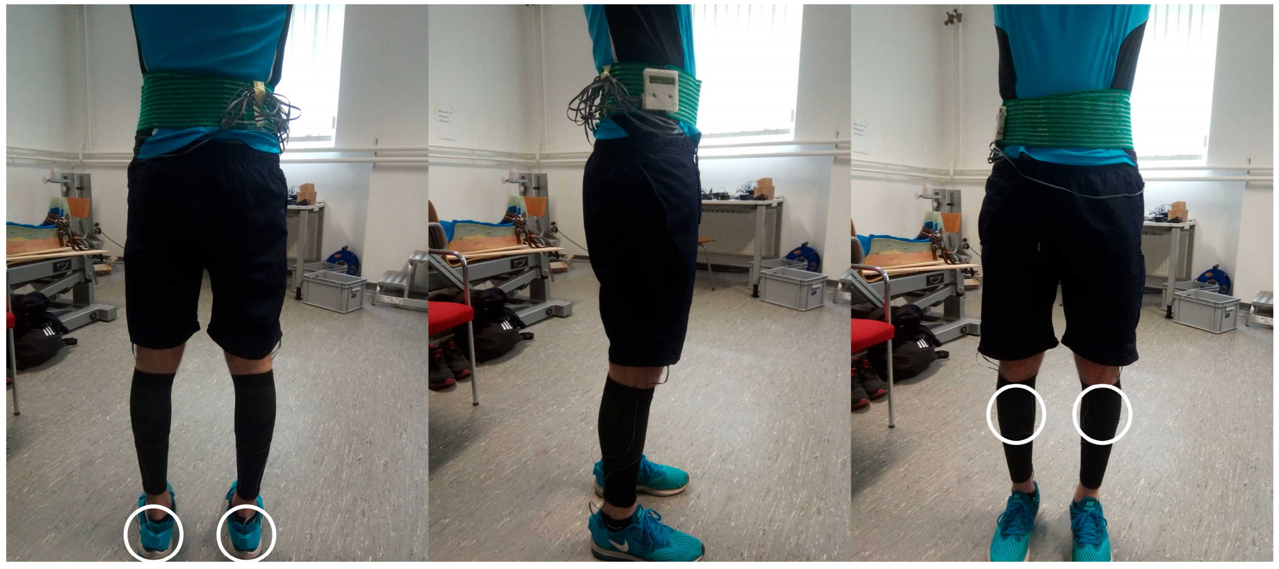 Bioengineering 11 00404 g001