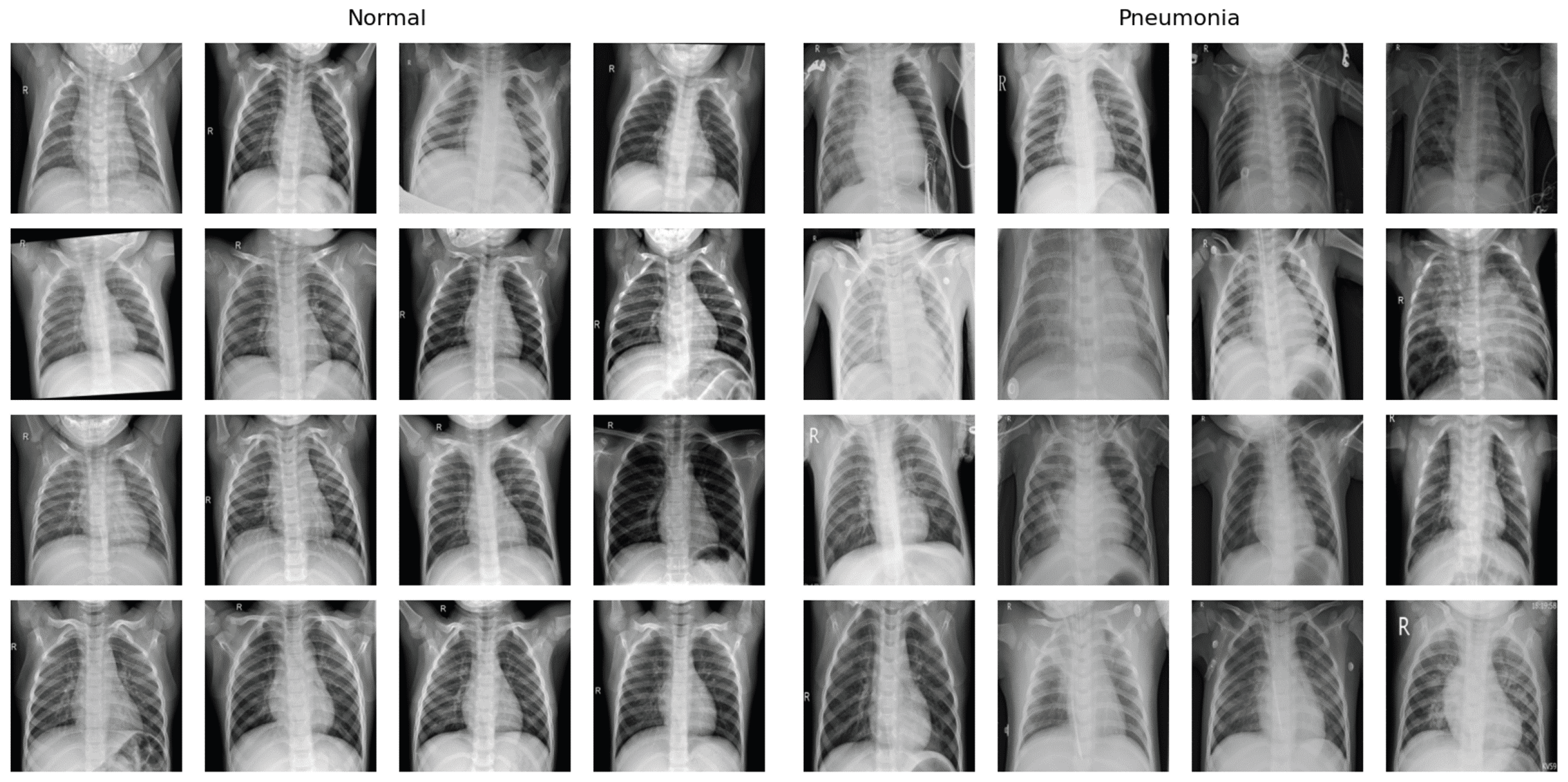 Bioengineering 11 00406 g002