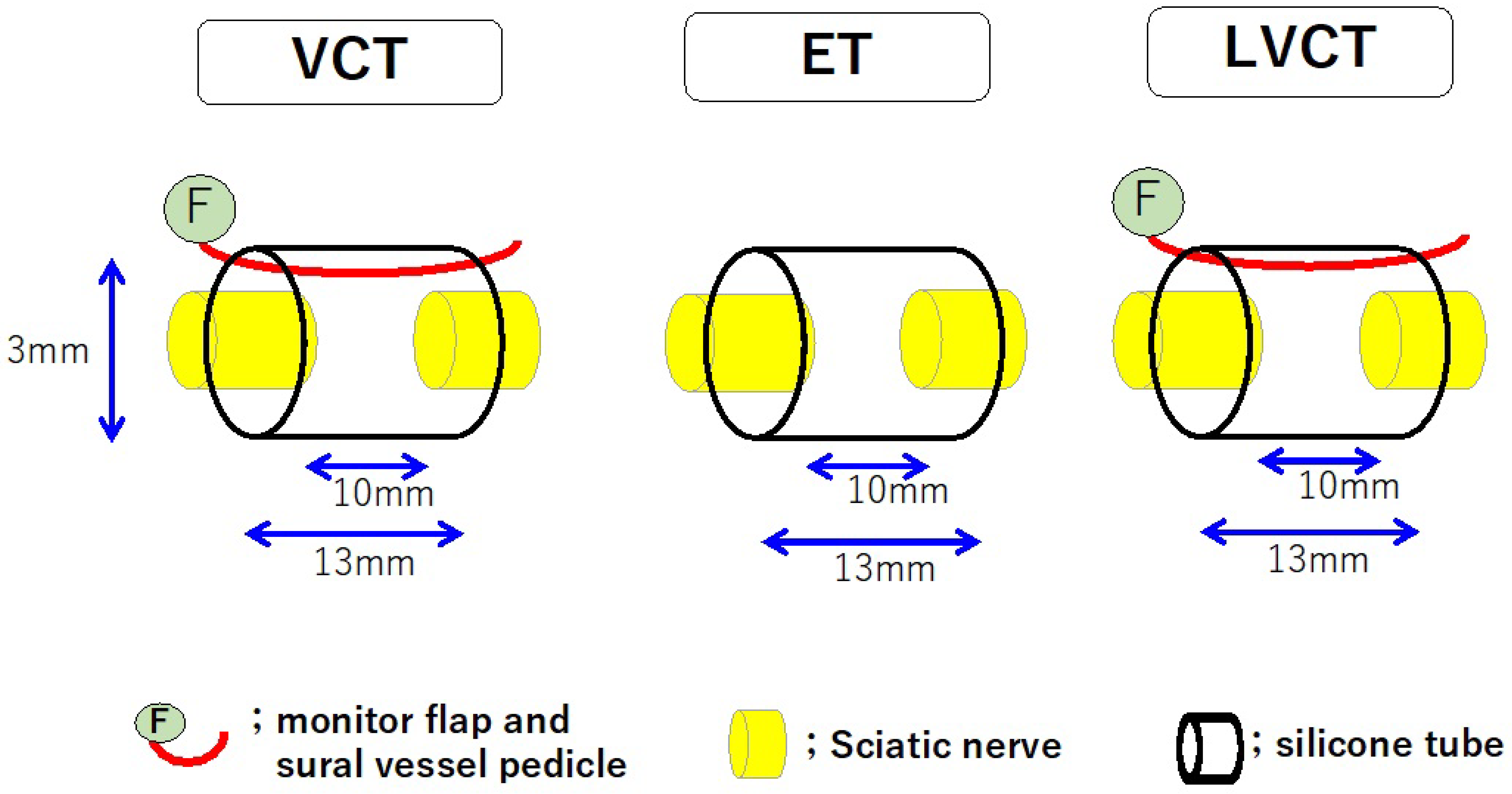 Bioengineering 11 00409 g002 Bioengineering 11 00409 g002