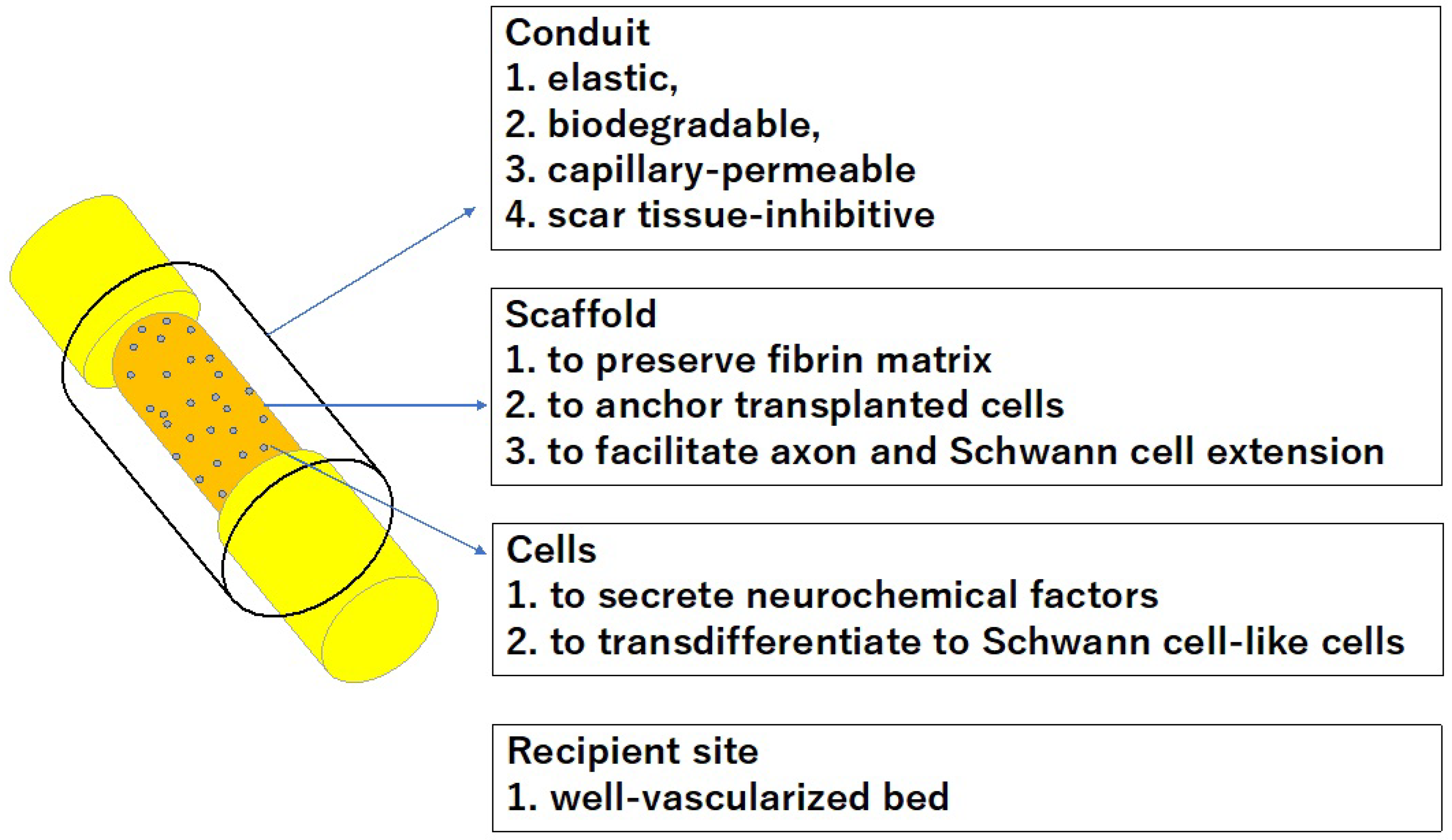 Bioengineering 11 00409 g005 Bioengineering 11 00409 g005
