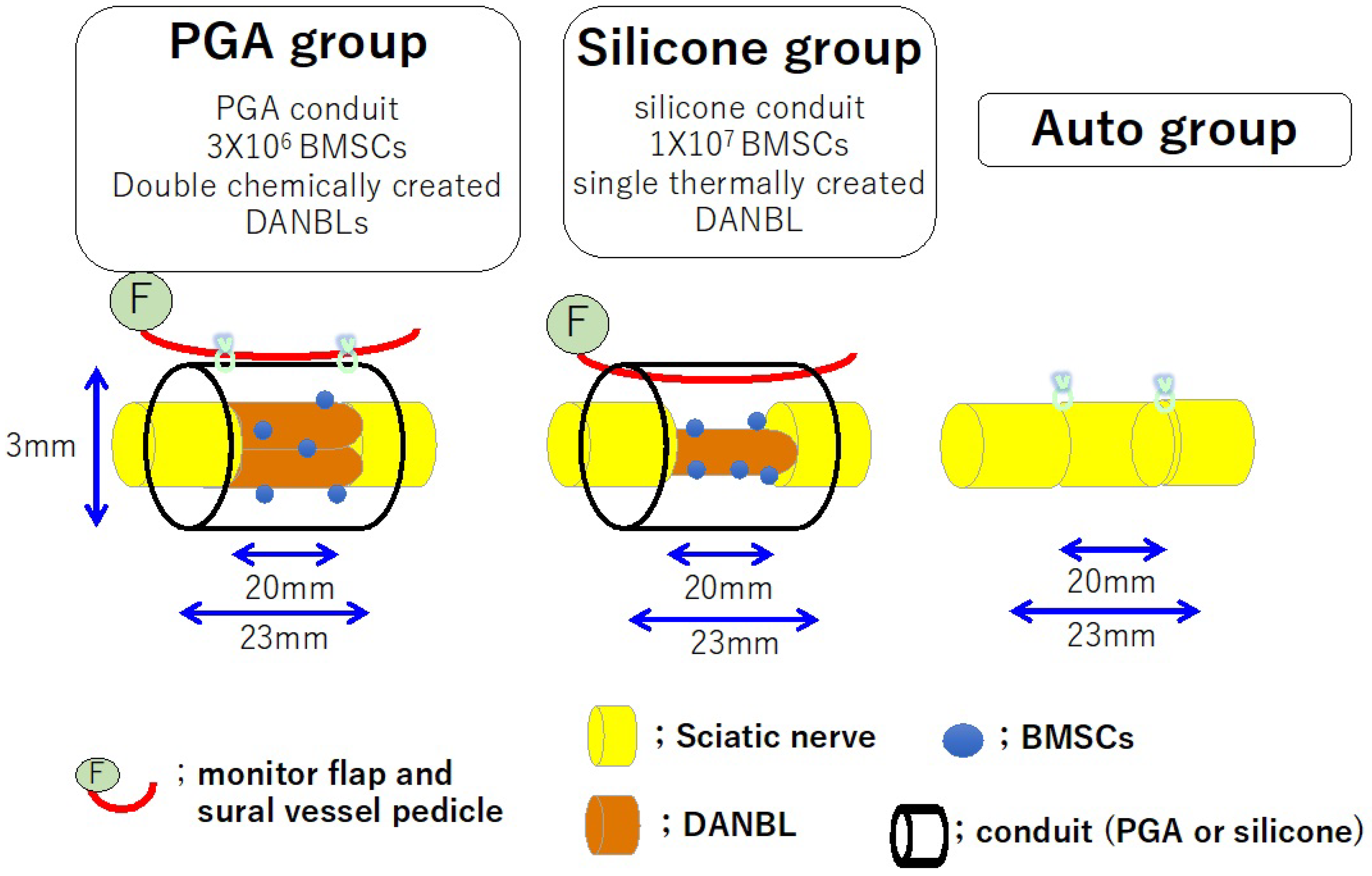 Bioengineering 11 00409 g006 Bioengineering 11 00409 g006