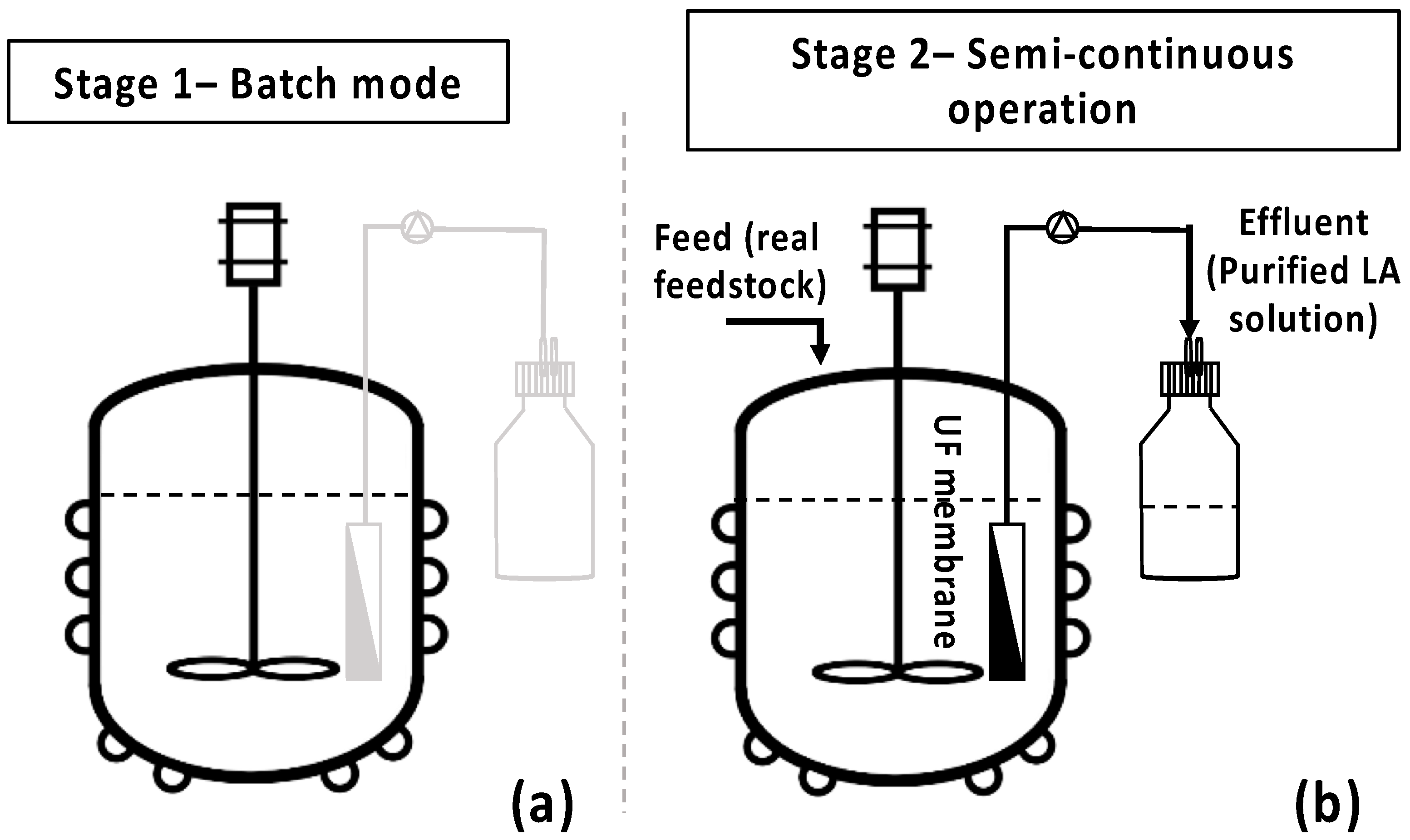 Bioengineering 11 00412 g003