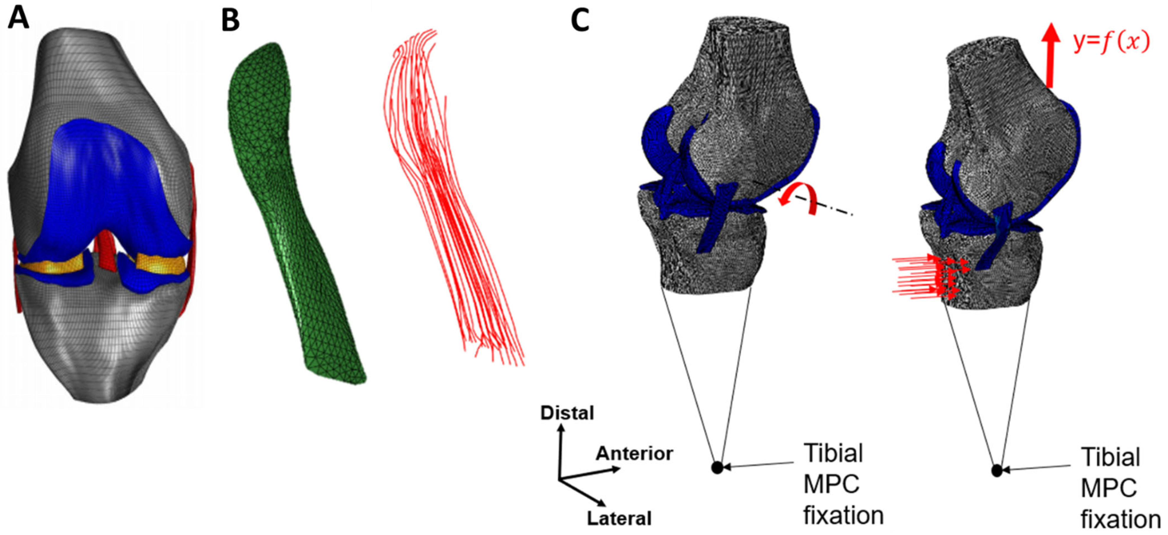 Bioengineering 11 00413 g001