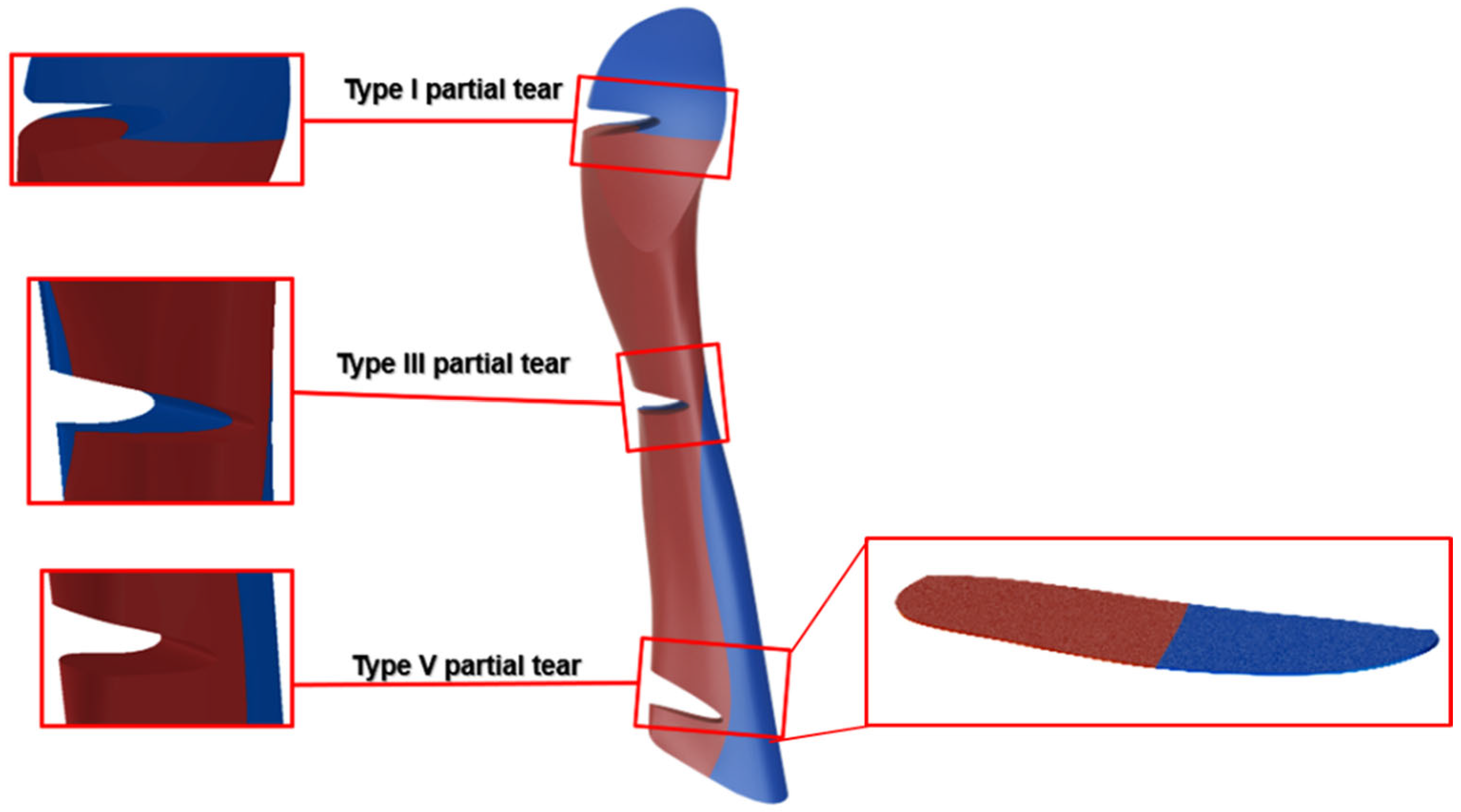 Bioengineering 11 00413 g009