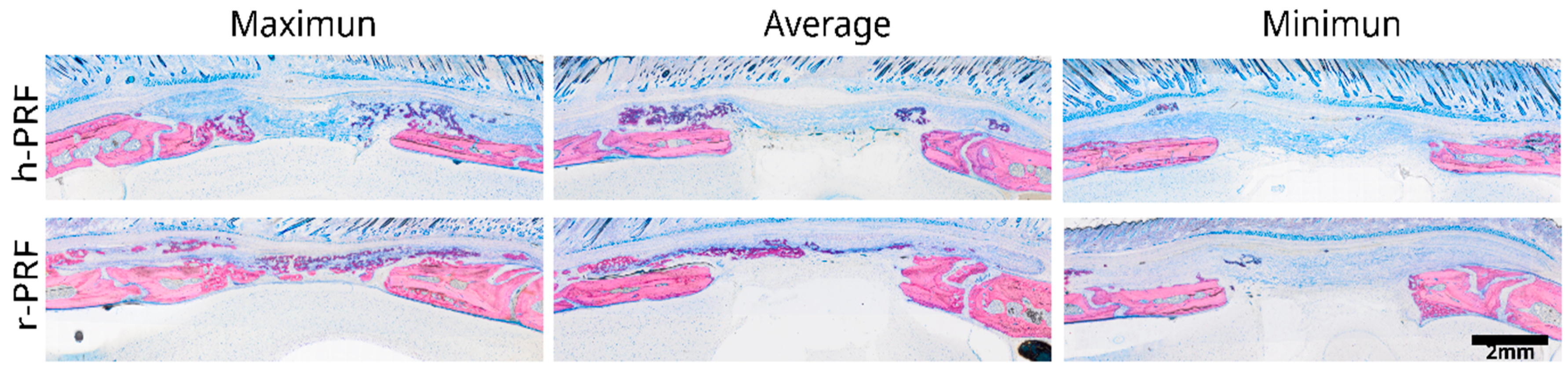 Bioengineering 11 00414 g002