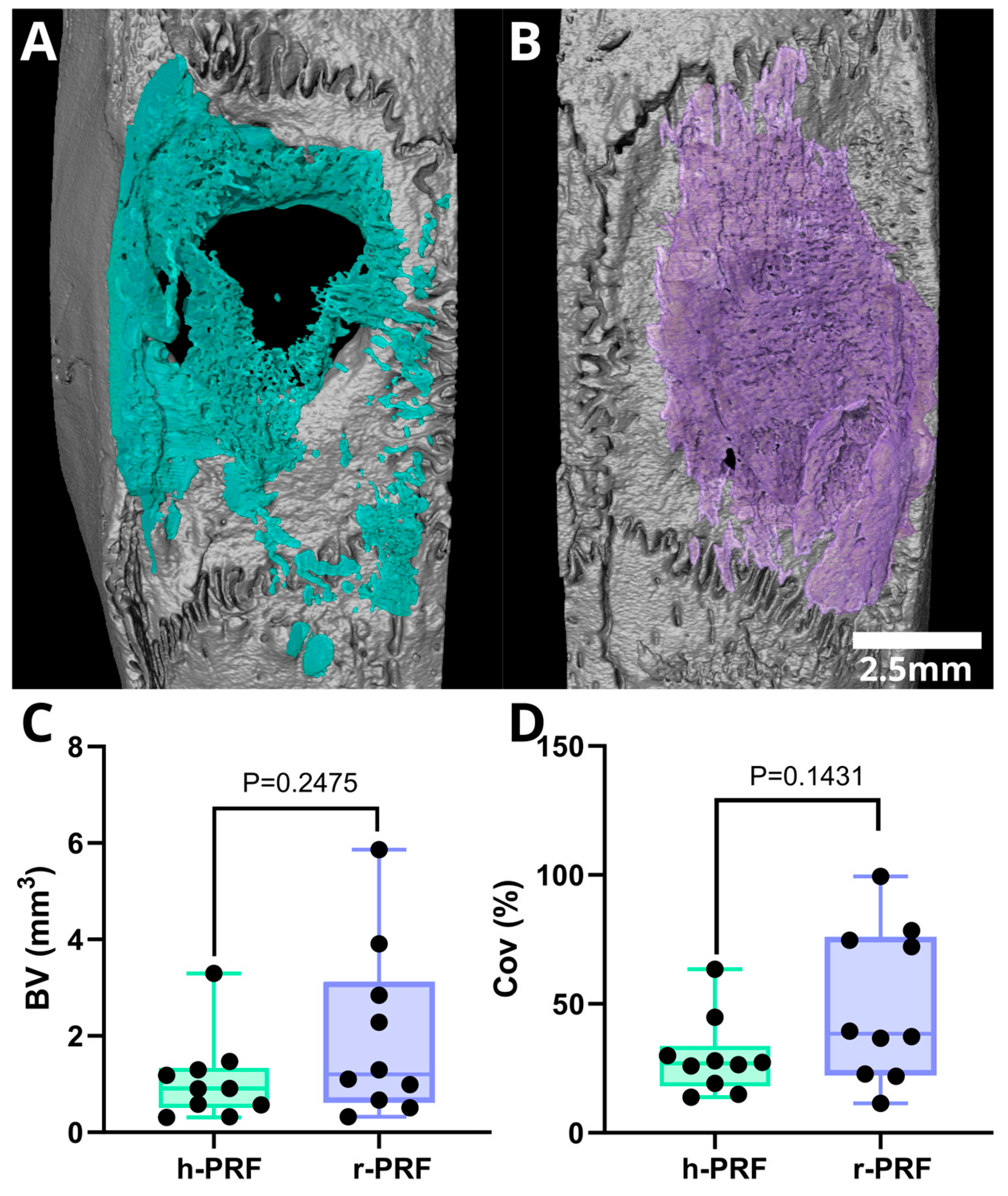 Bioengineering 11 00414 g005