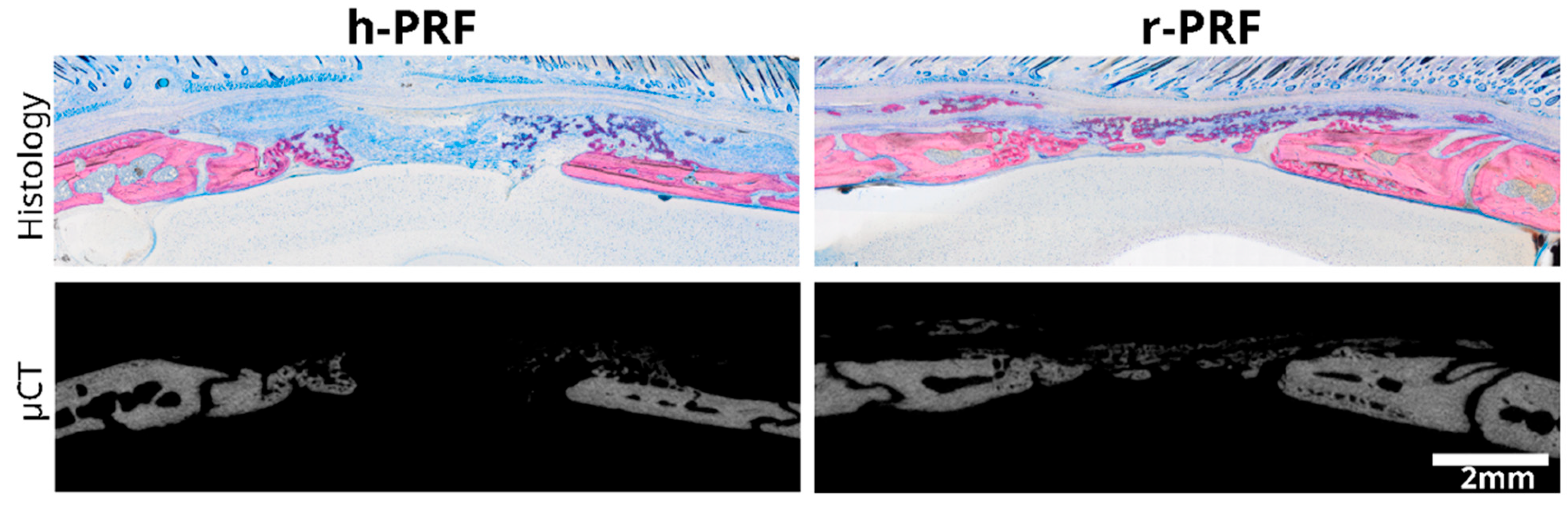 Bioengineering 11 00414 g006