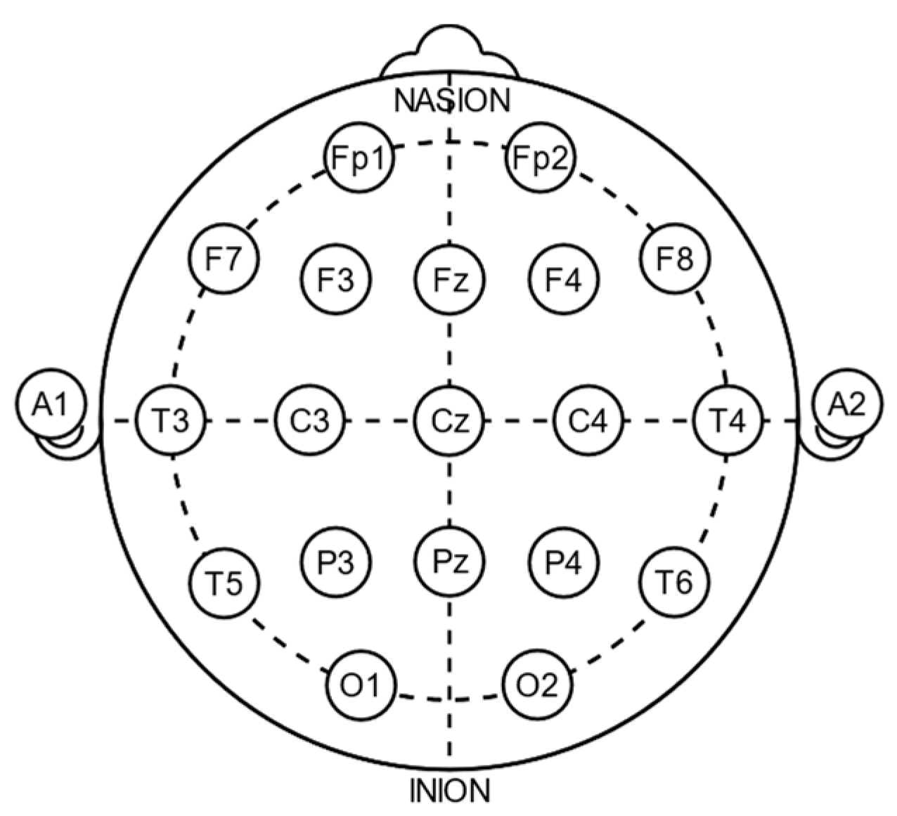 Bioengineering 11 00421 g002