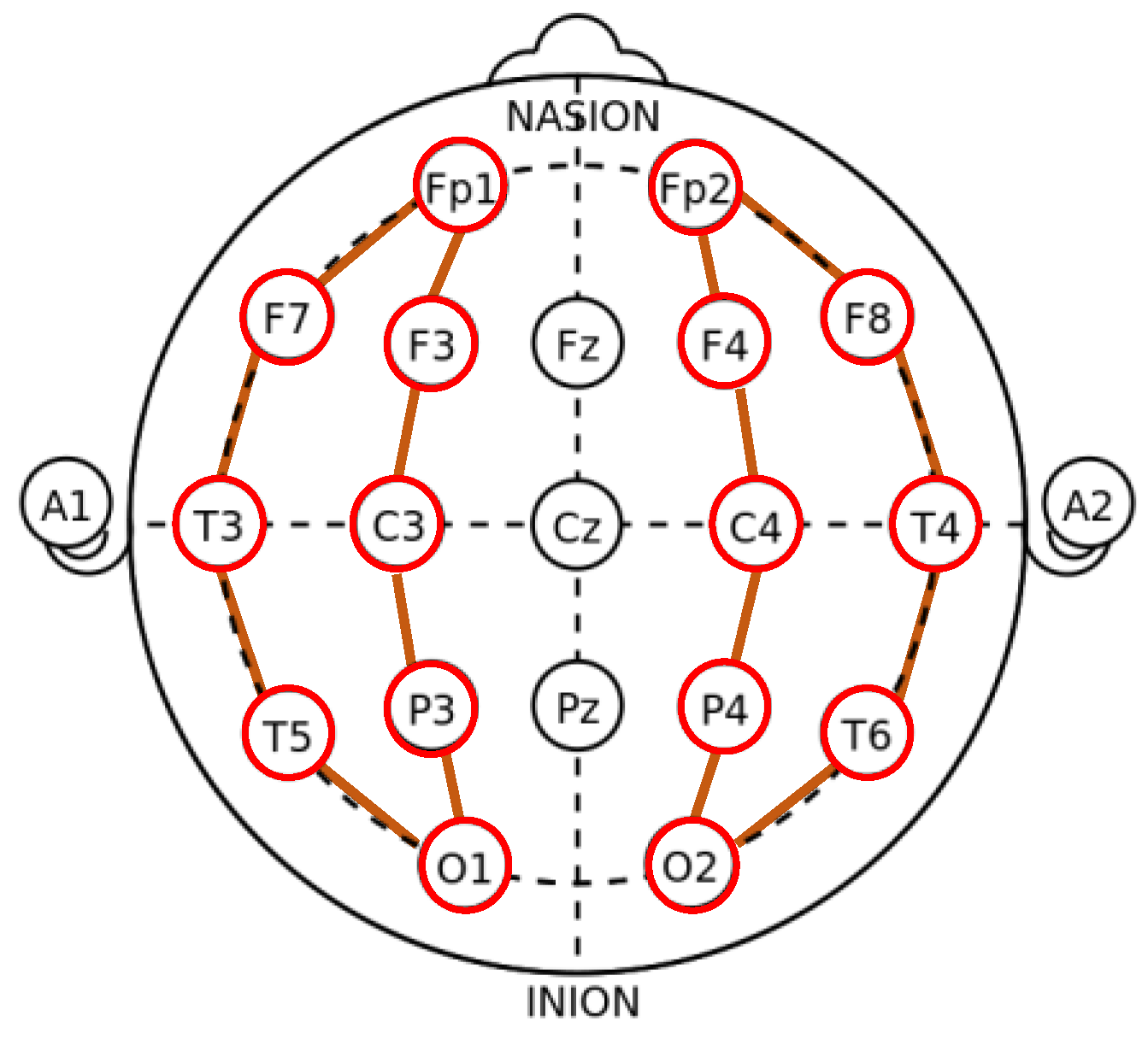 Bioengineering 11 00421 g003