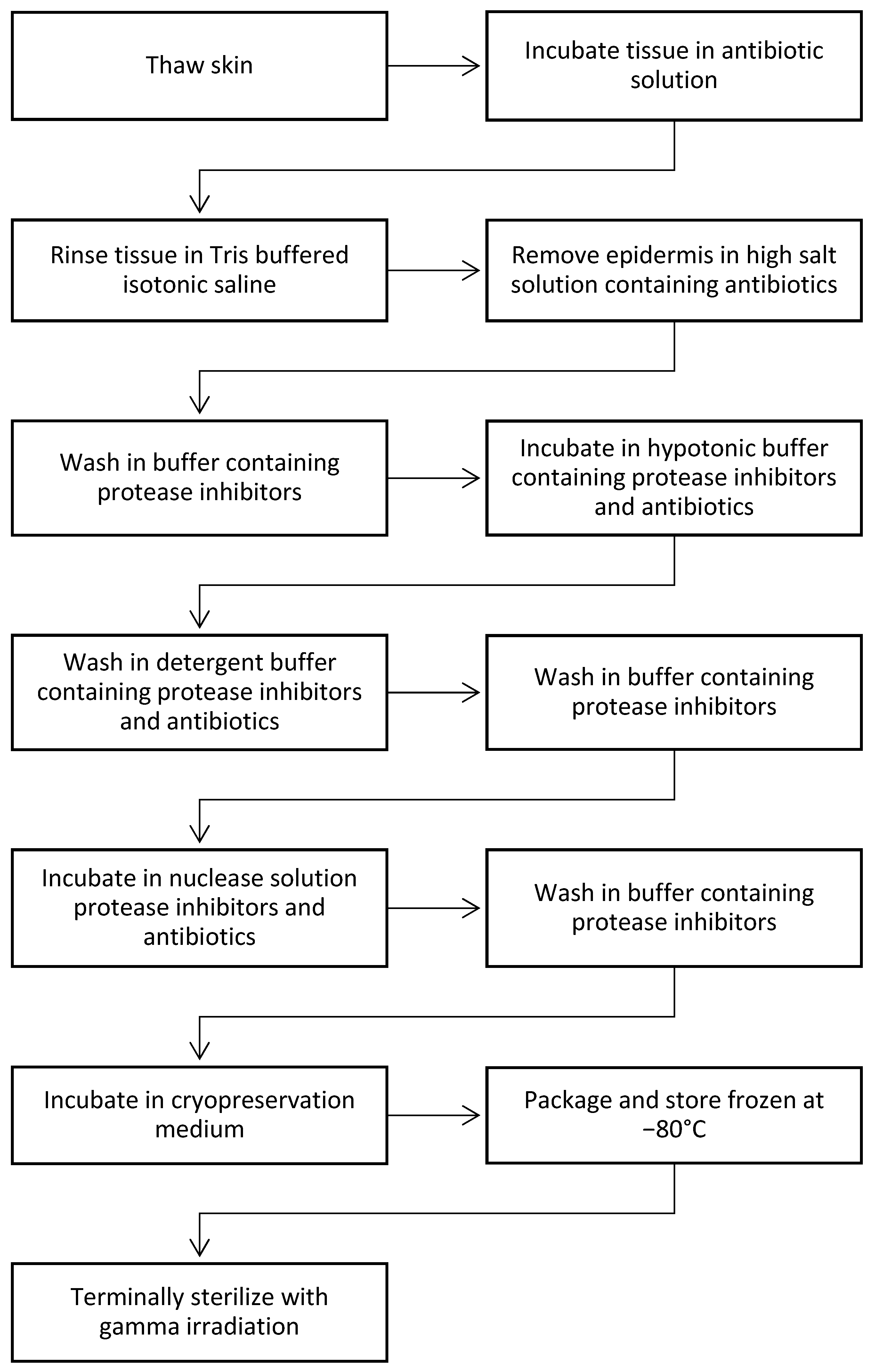 Bioengineering 11 00422 g001