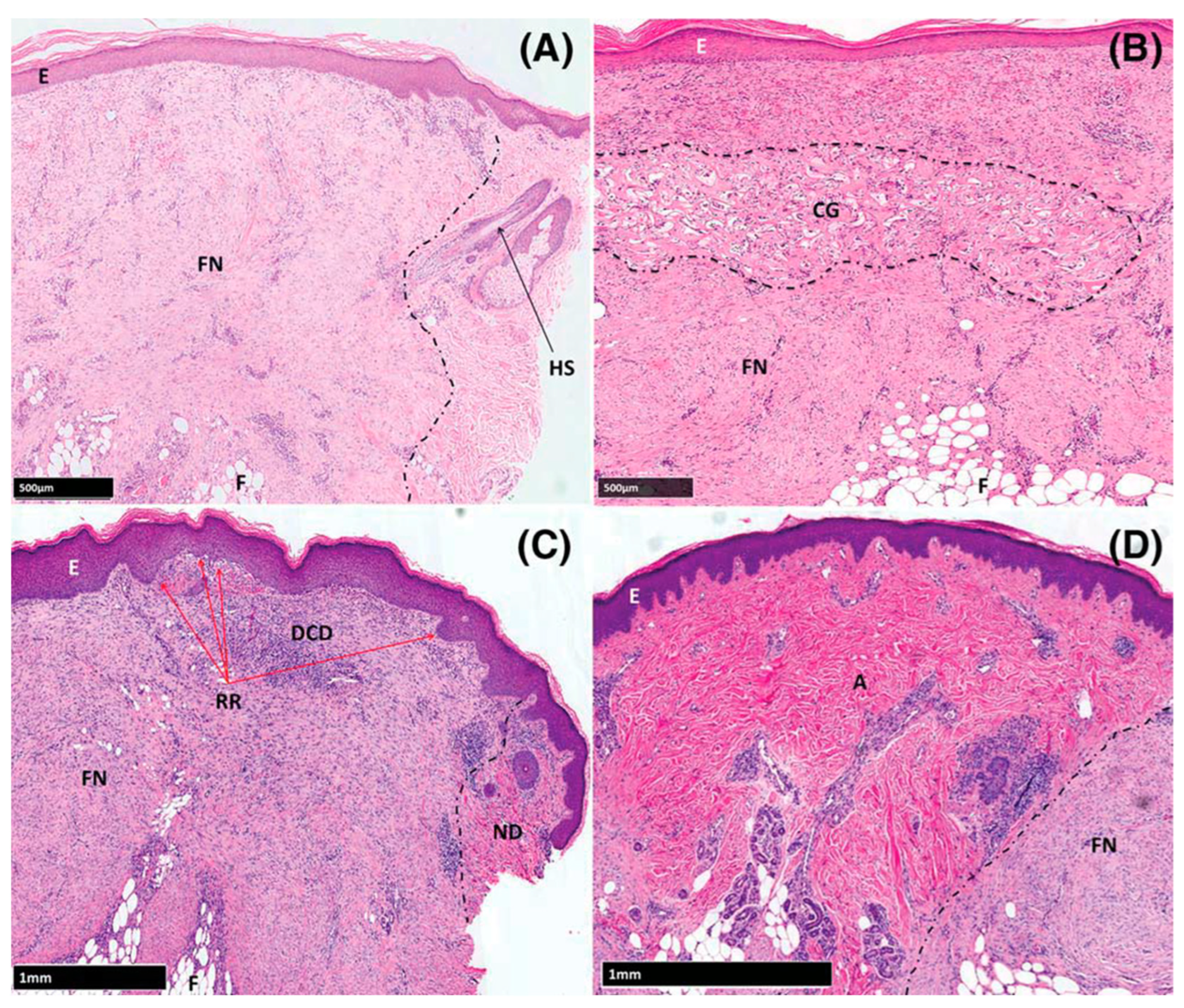Bioengineering 11 00422 g003