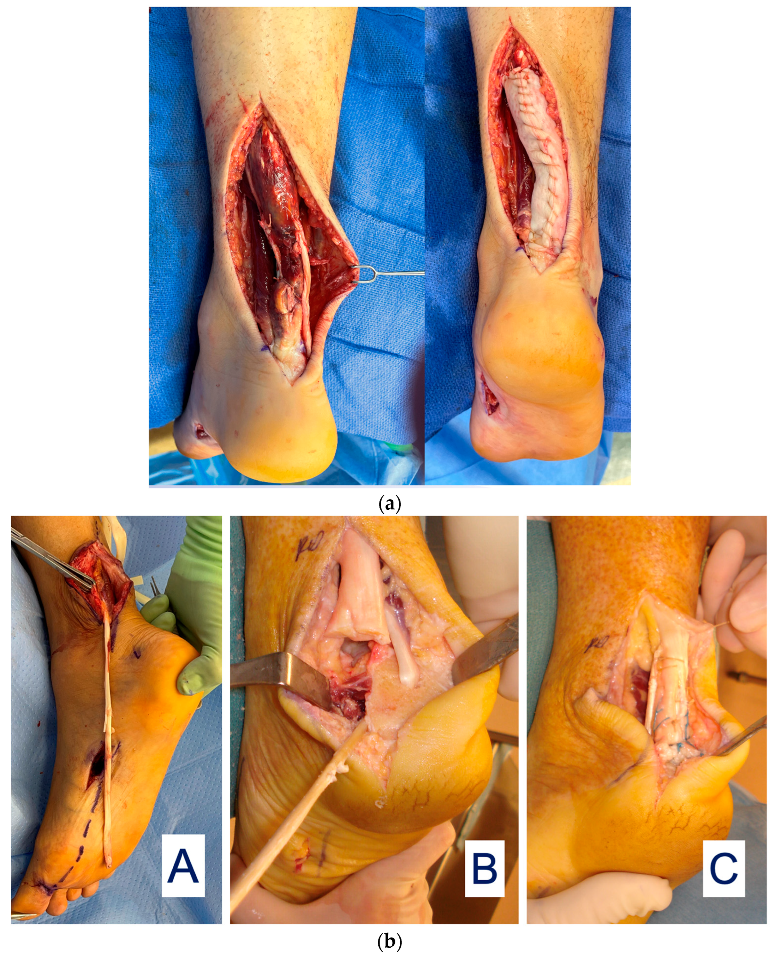 Bioengineering 11 00422 g006