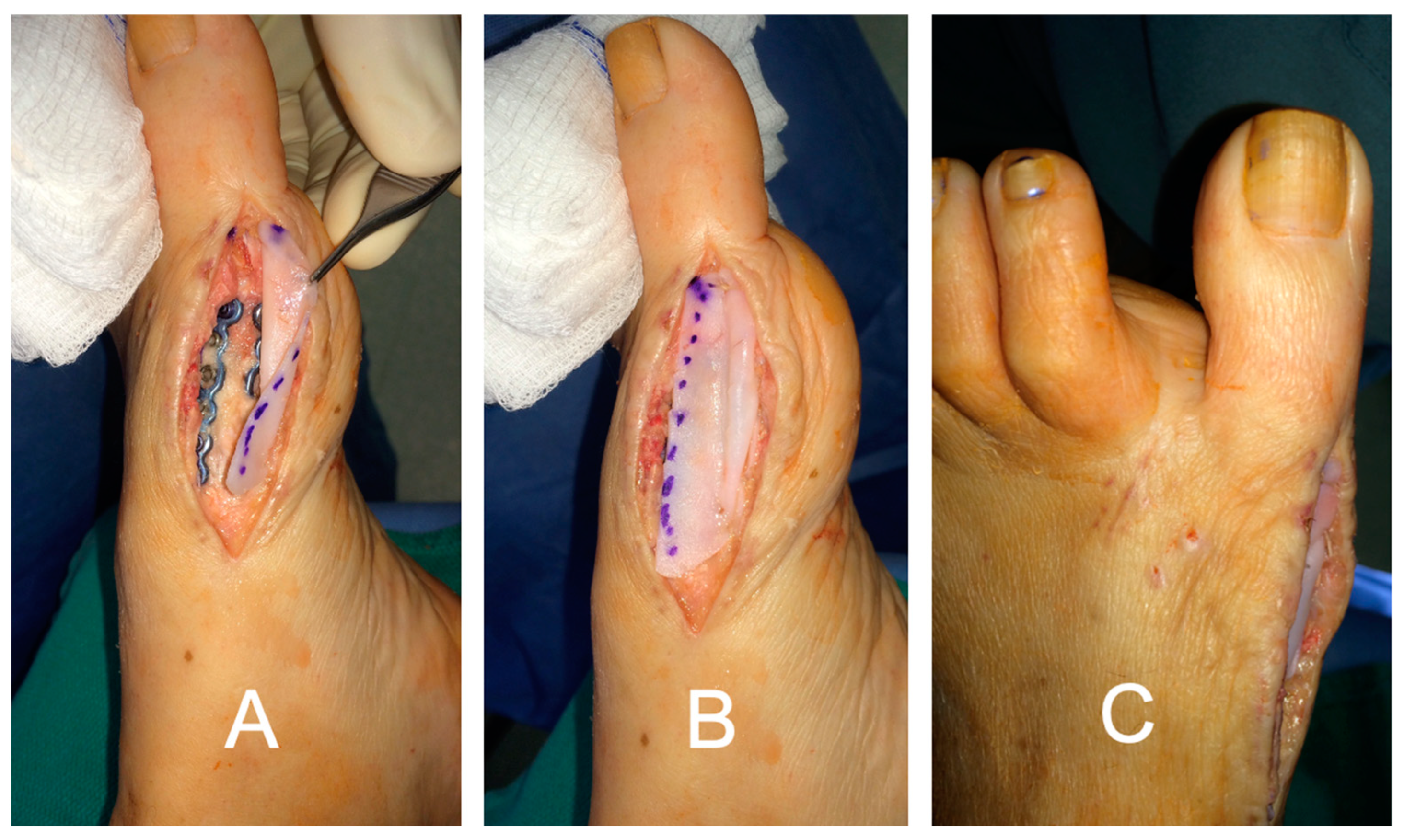 Bioengineering 11 00422 g008